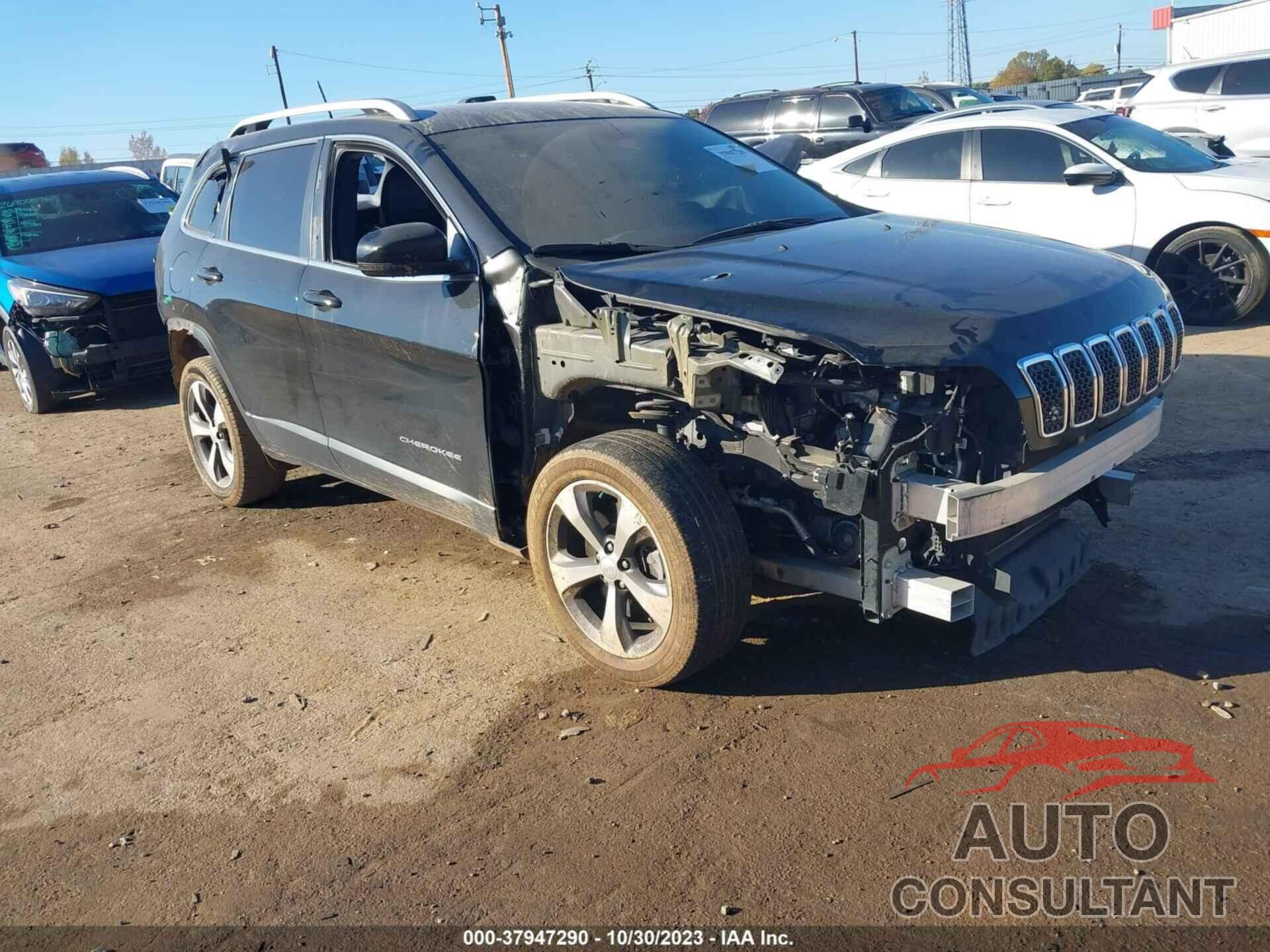 JEEP CHEROKEE 2019 - 1C4PJLDB7KD433982