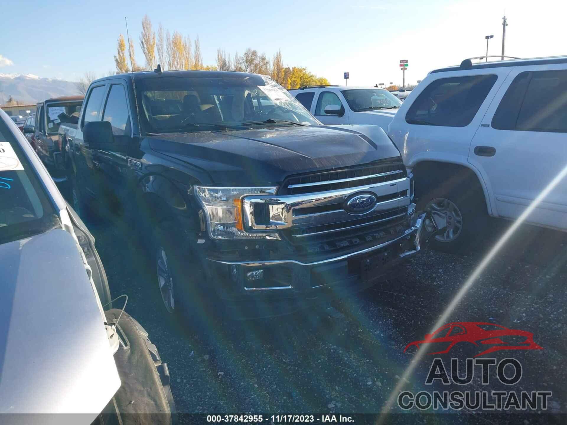 FORD F-150 2019 - 1FTEW1E43KKE40601