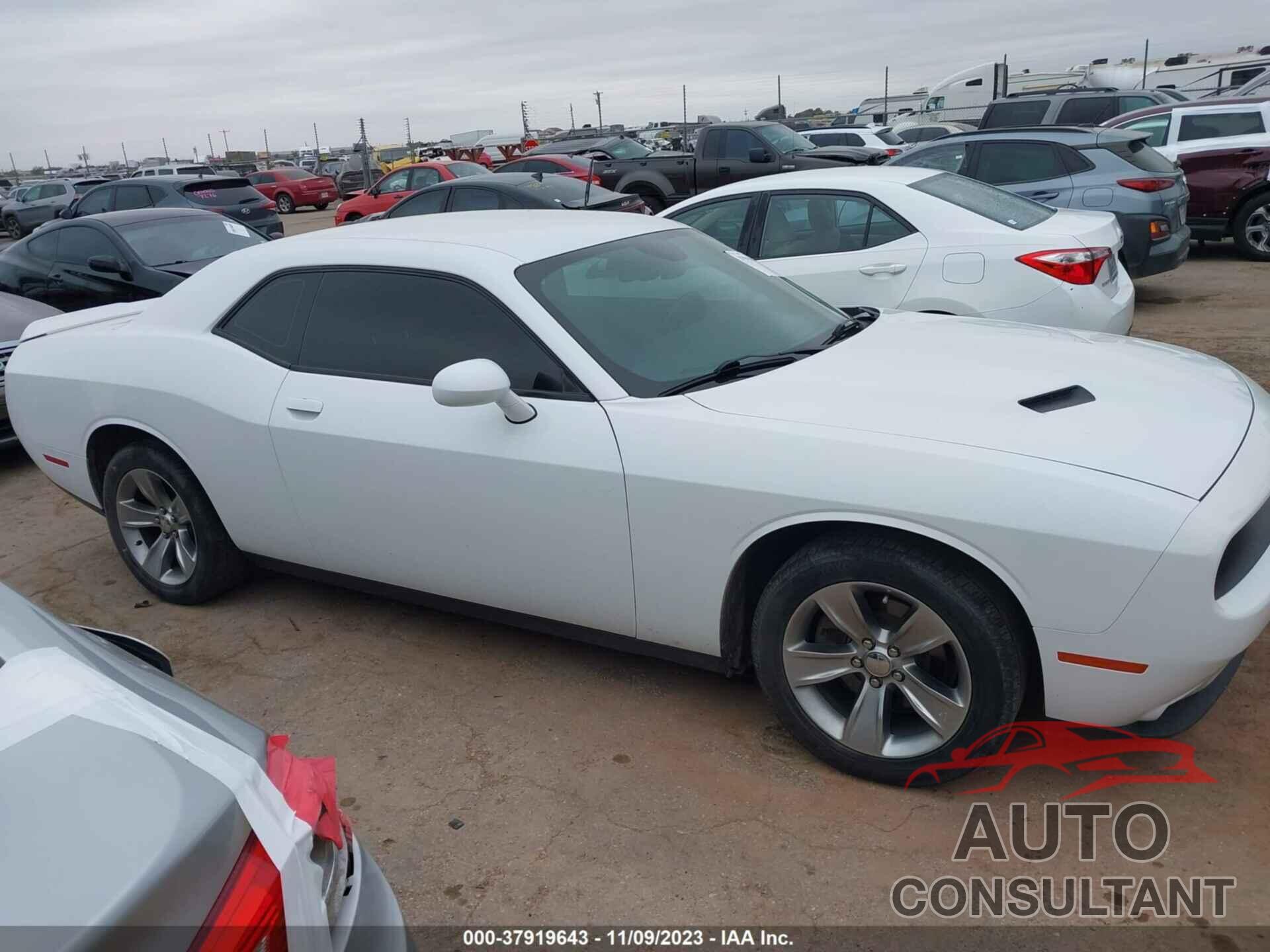 DODGE CHALLENGER 2019 - 2C3CDZAG7KH677437