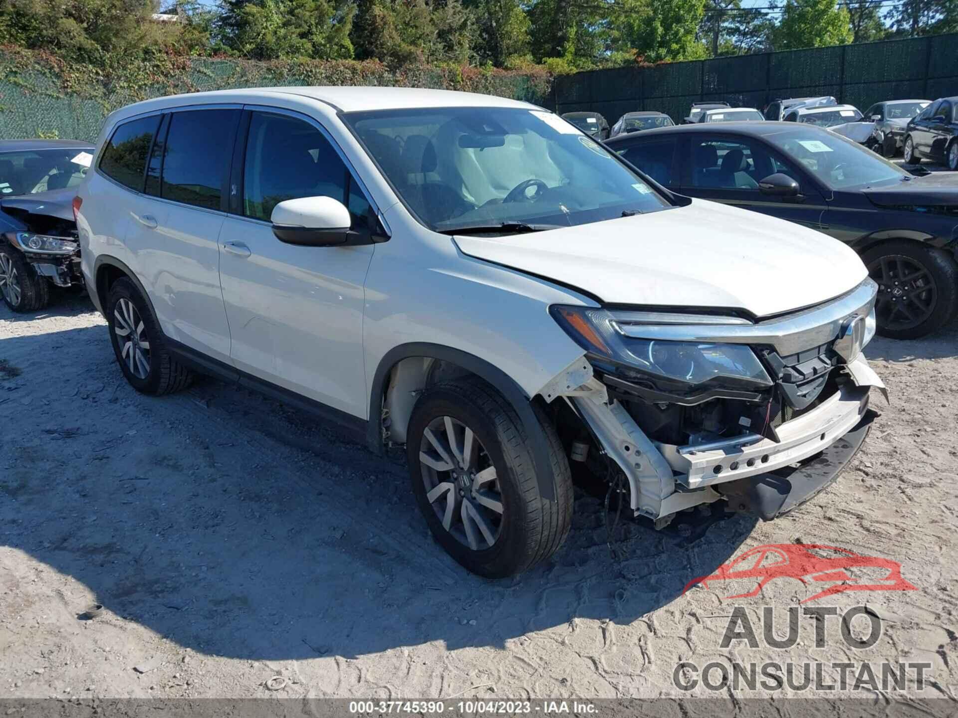 HONDA PILOT 2019 - 5FNYF6H37KB065032