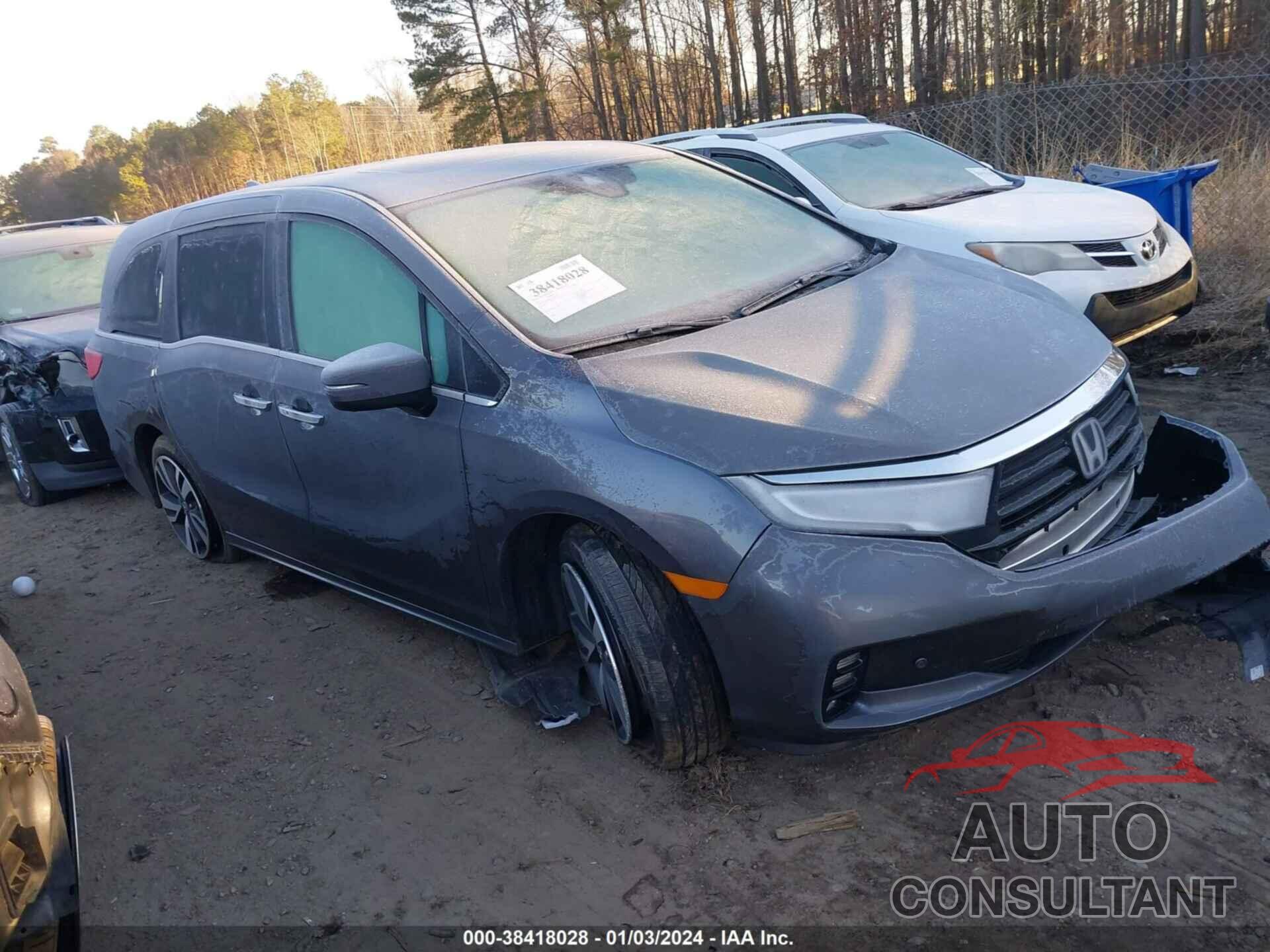 HONDA ODYSSEY 2022 - 5FNRL6H81NB043833