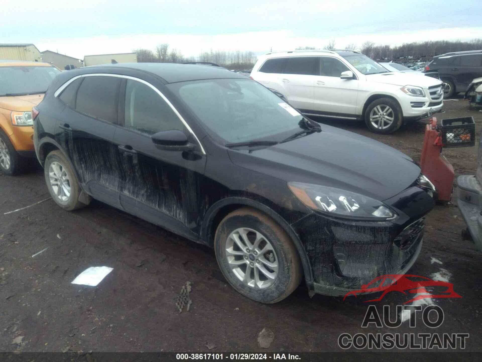 FORD ESCAPE 2021 - 1FMCU9G64MUA11528