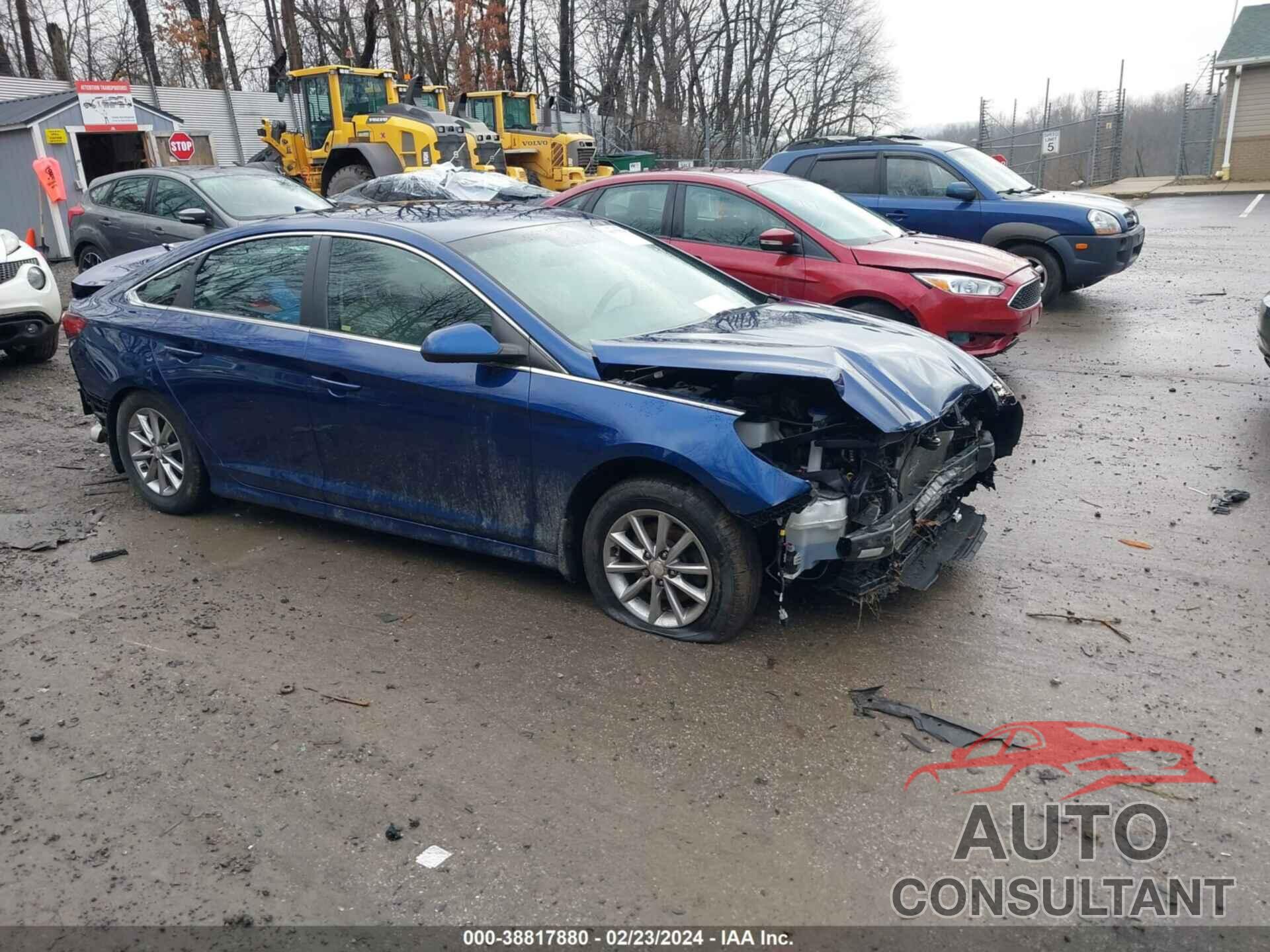 HYUNDAI SONATA 2019 - 5NPE24AF5KH782196