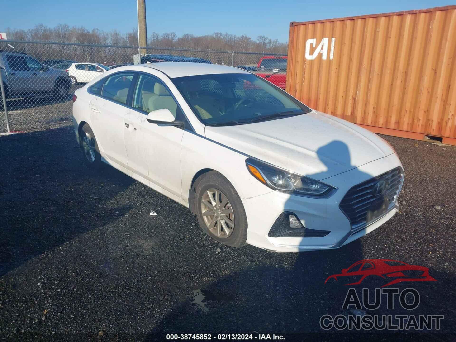 HYUNDAI SONATA 2019 - 5NPE24AF9KH808587