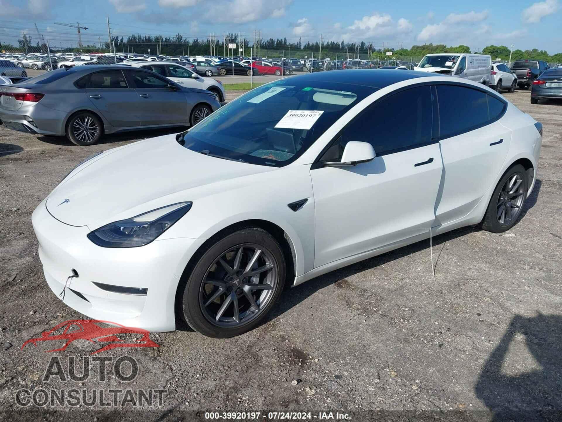TESLA MODEL 3 2021 - 5YJ3E1EA2MF923447