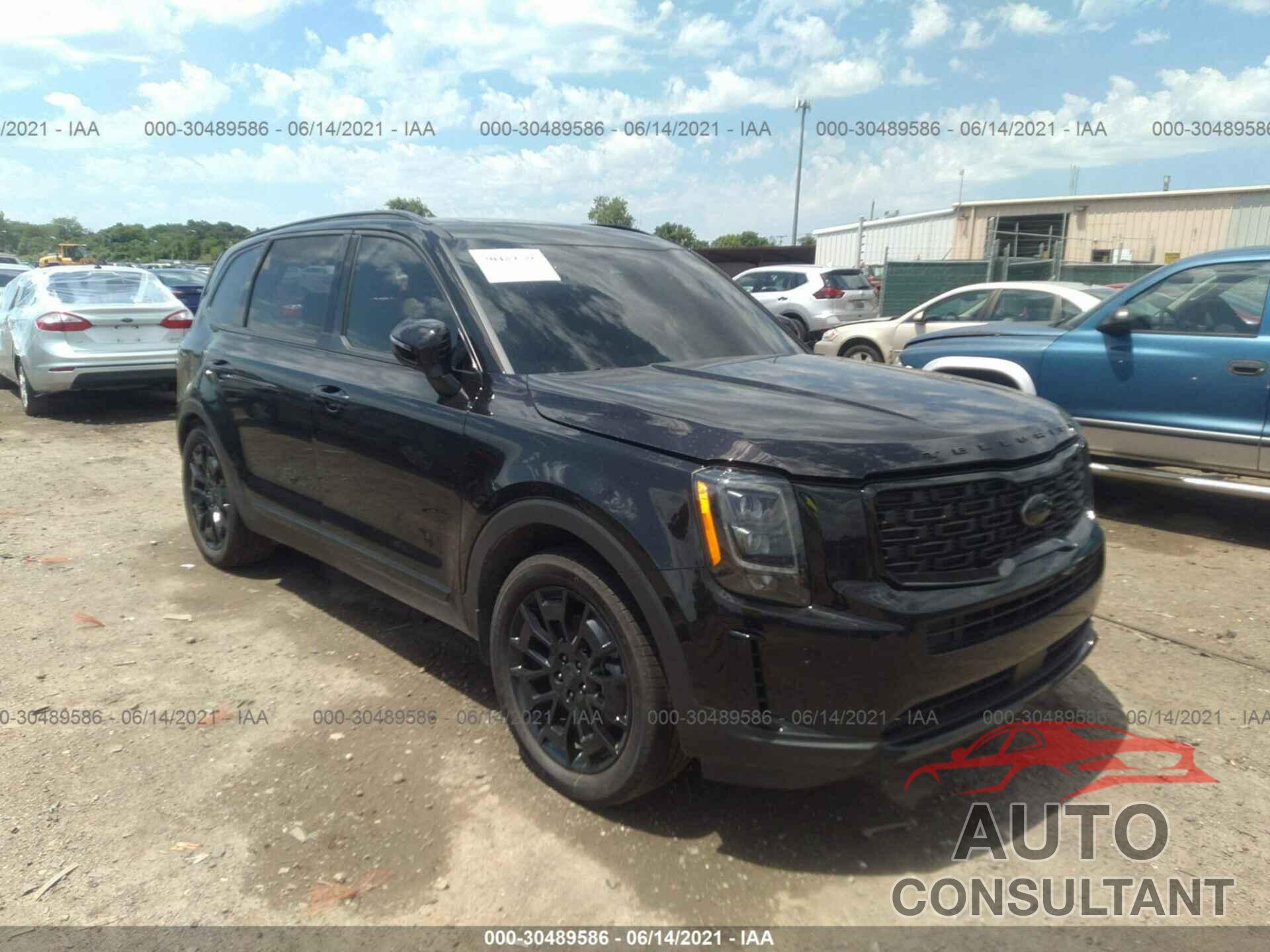 KIA TELLURIDE 2021 - 5XYP3DHC7MG172621