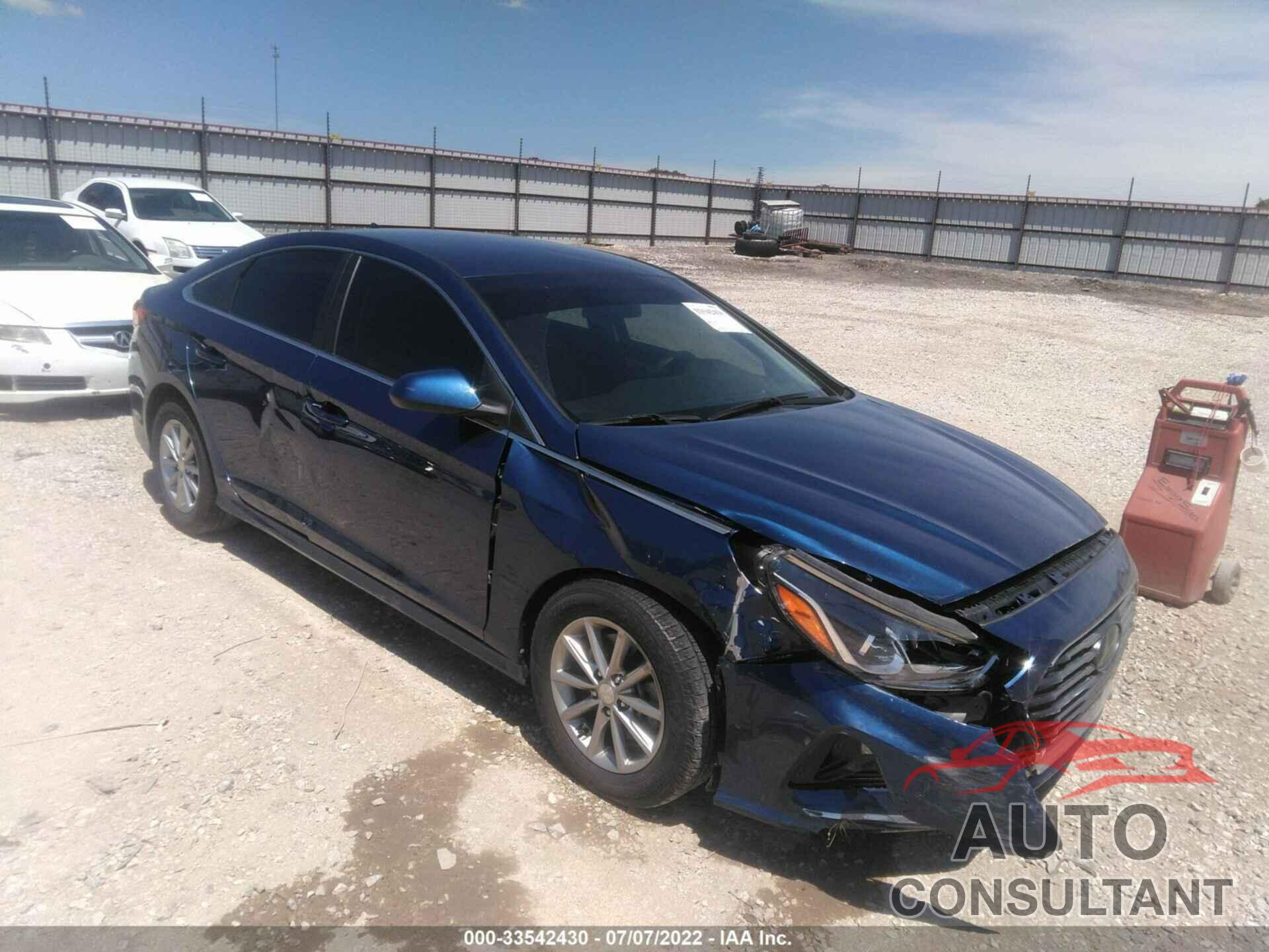 HYUNDAI SONATA 2019 - 5NPE24AF2KH801772