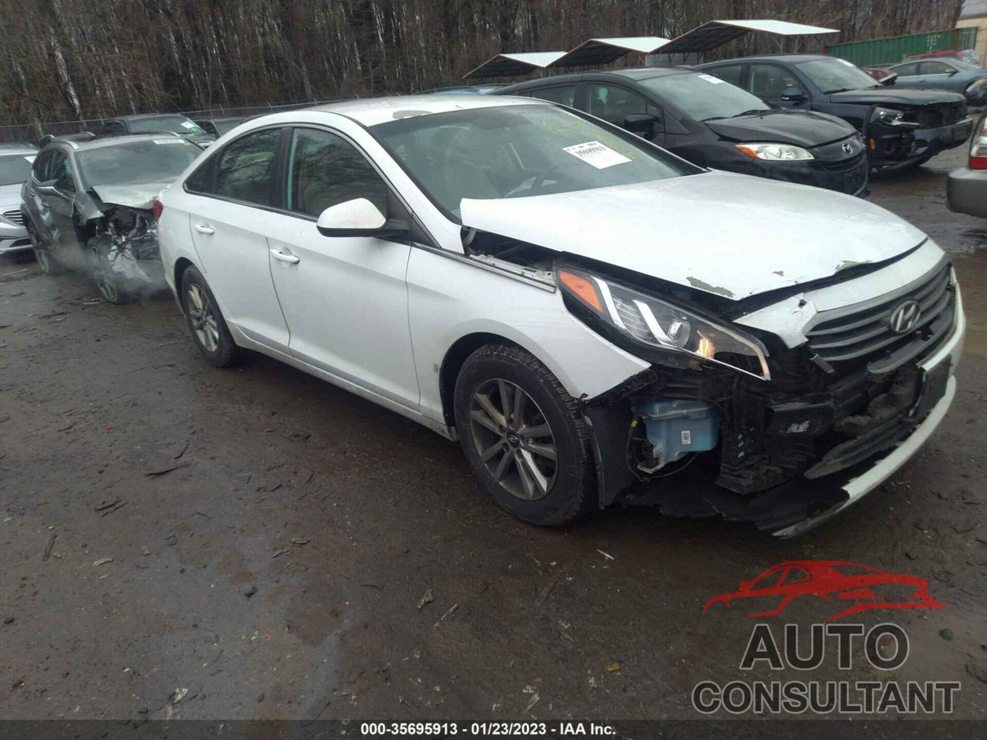 HYUNDAI SONATA 2016 - 5NPE24AF7GH390389