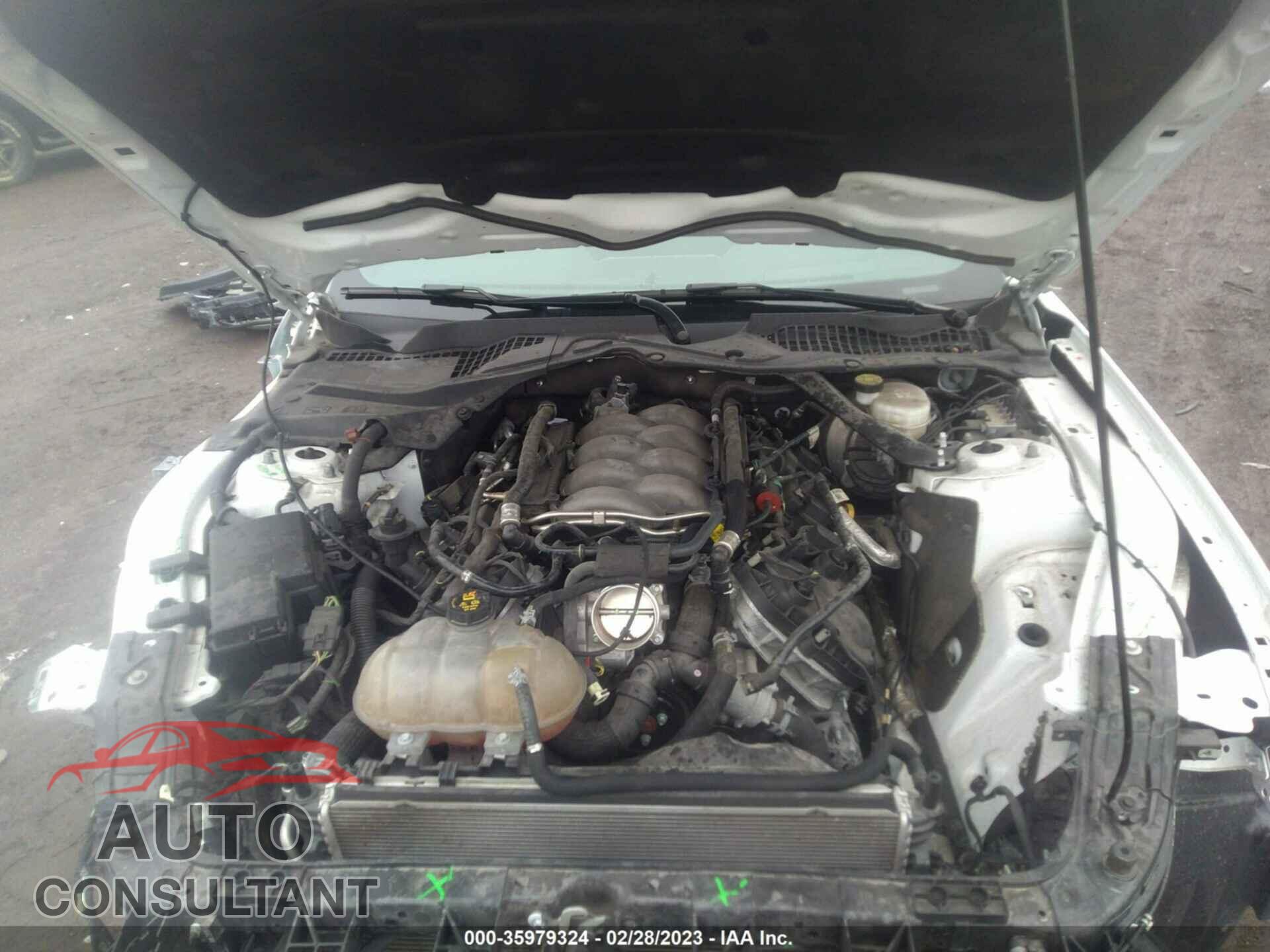 FORD MUSTANG 2019 - 1FA6P8CF5K5117833