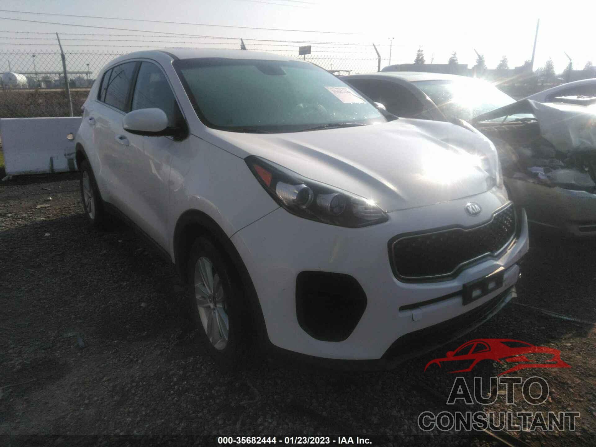 KIA SPORTAGE 2019 - KNDPM3AC6K7626790