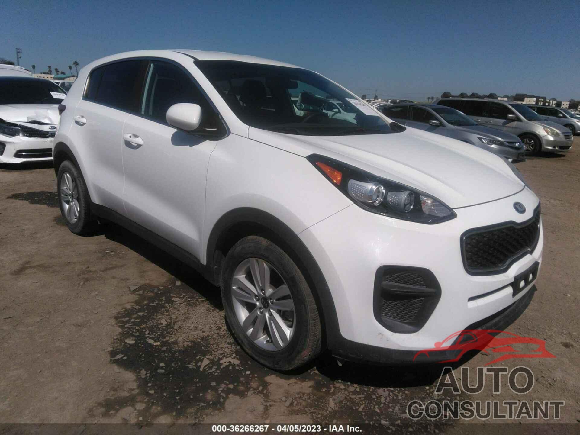 KIA SPORTAGE 2017 - KNDPM3AC7H7281620