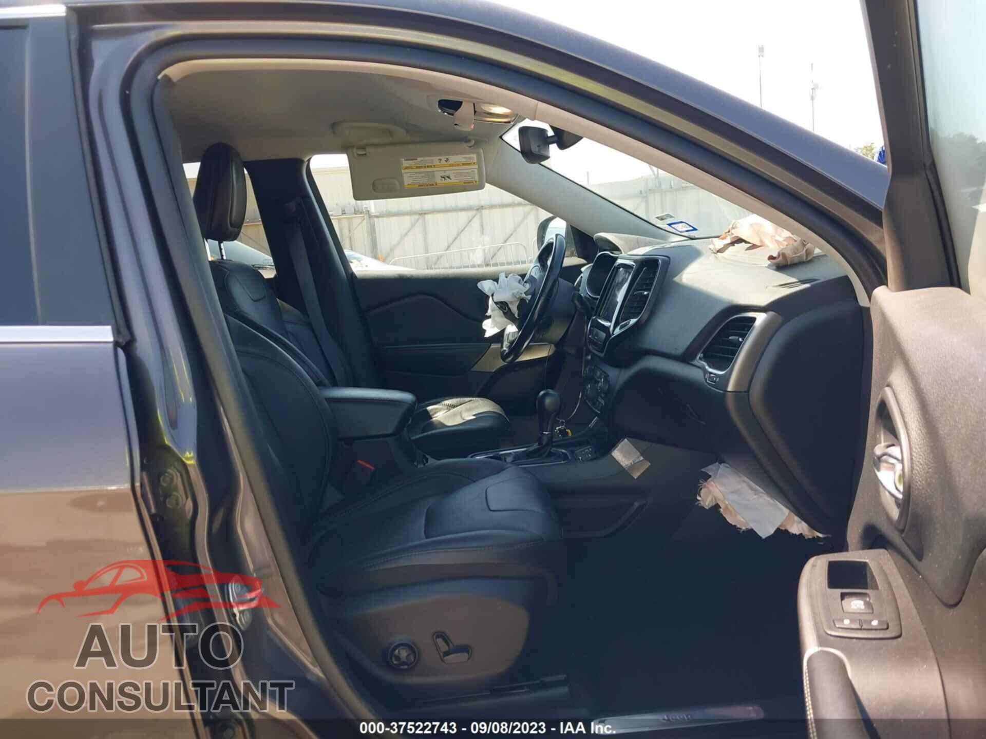JEEP CHEROKEE 2019 - 1C4PJLDB5KD487944