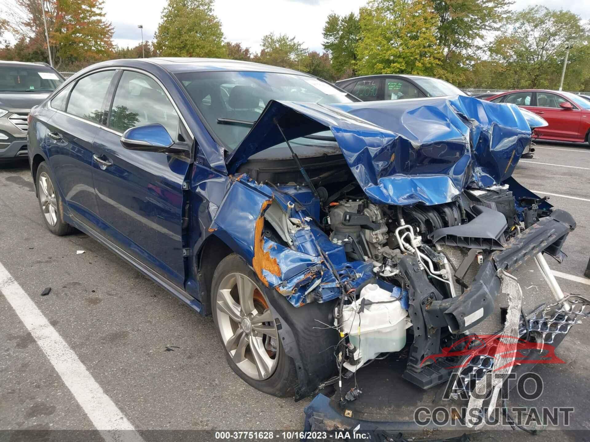 HYUNDAI SONATA 2019 - 5NPE34AF0KH816011