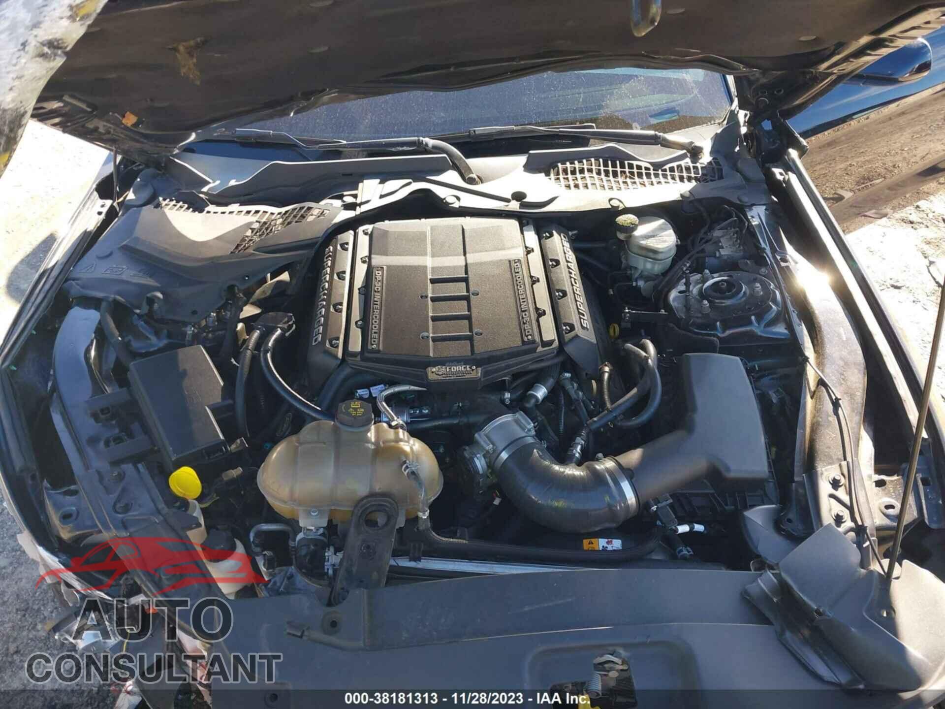 FORD MUSTANG 2017 - 1FA6P8CF9H5289808