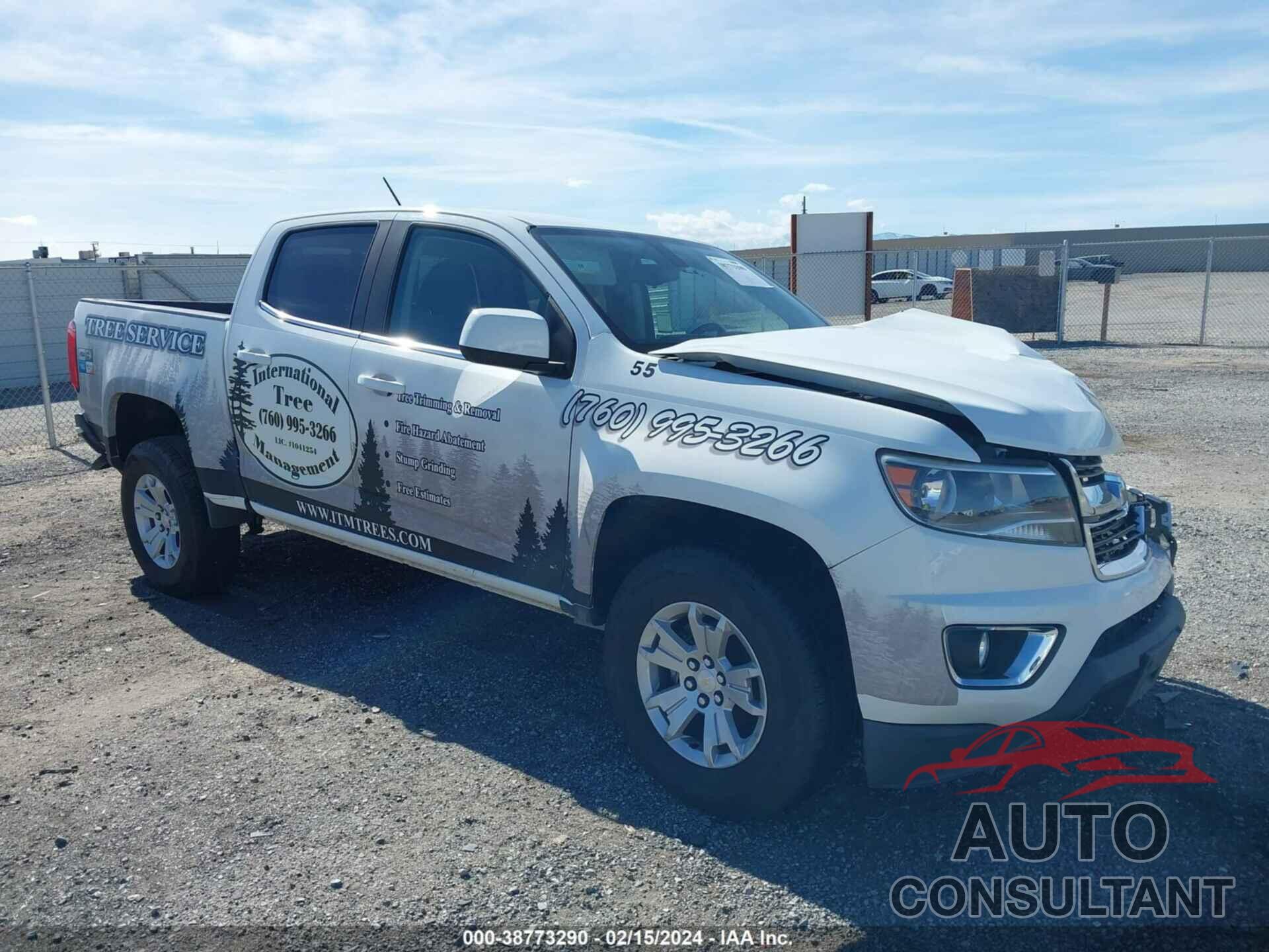 CHEVROLET COLORADO 2019 - 1GCGTCEN9K1143490