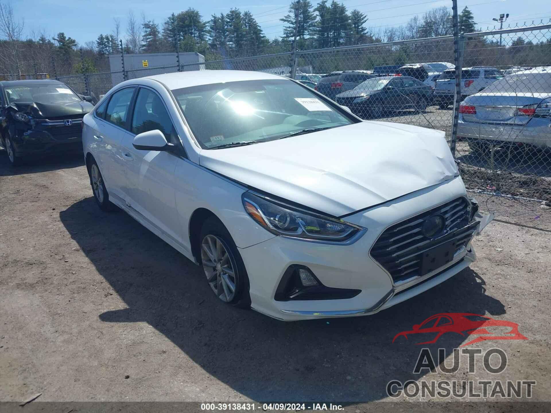 HYUNDAI SONATA 2019 - 5NPE24AF6KH741284