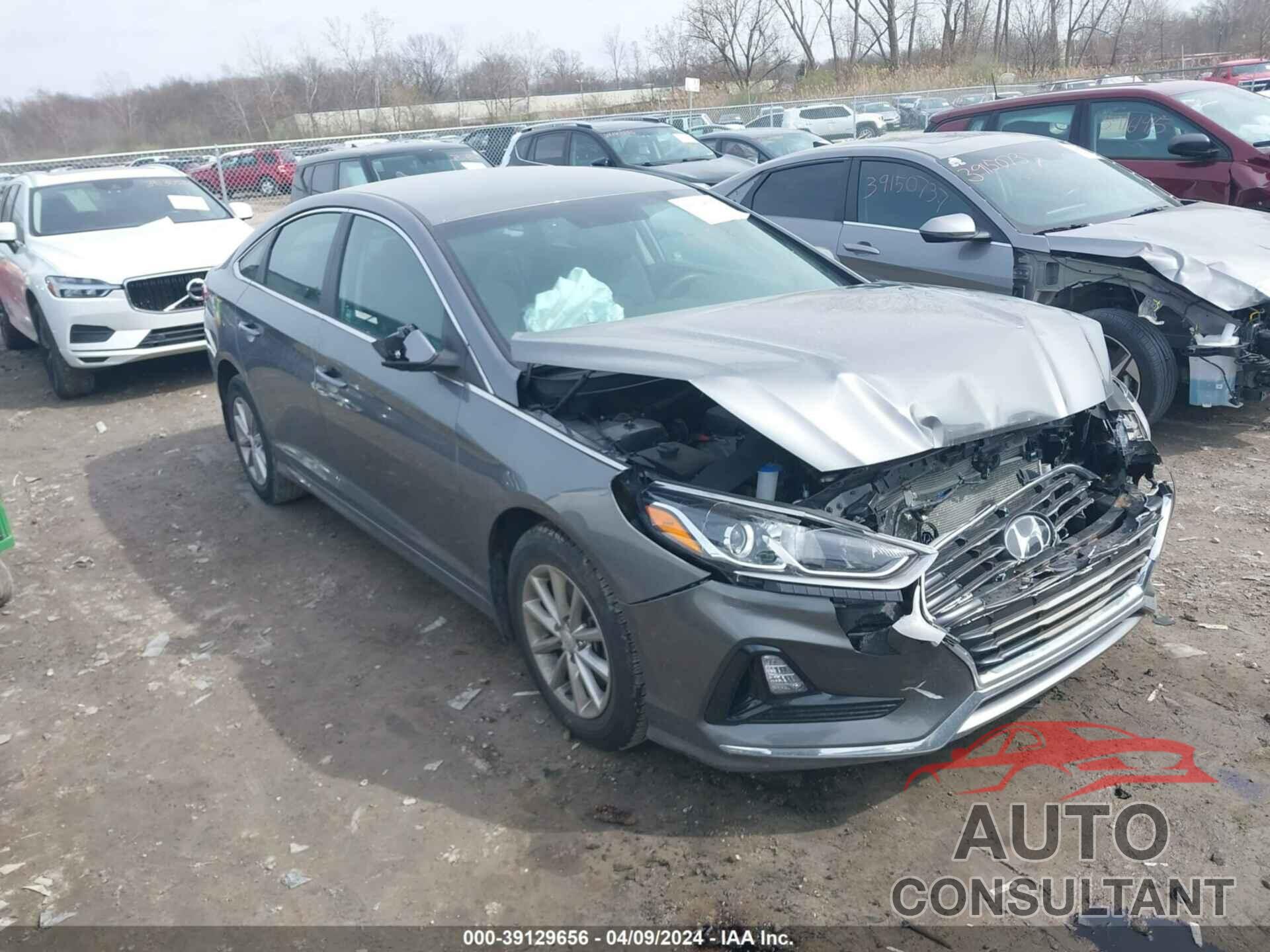 HYUNDAI SONATA 2019 - 5NPE24AFXKH811319