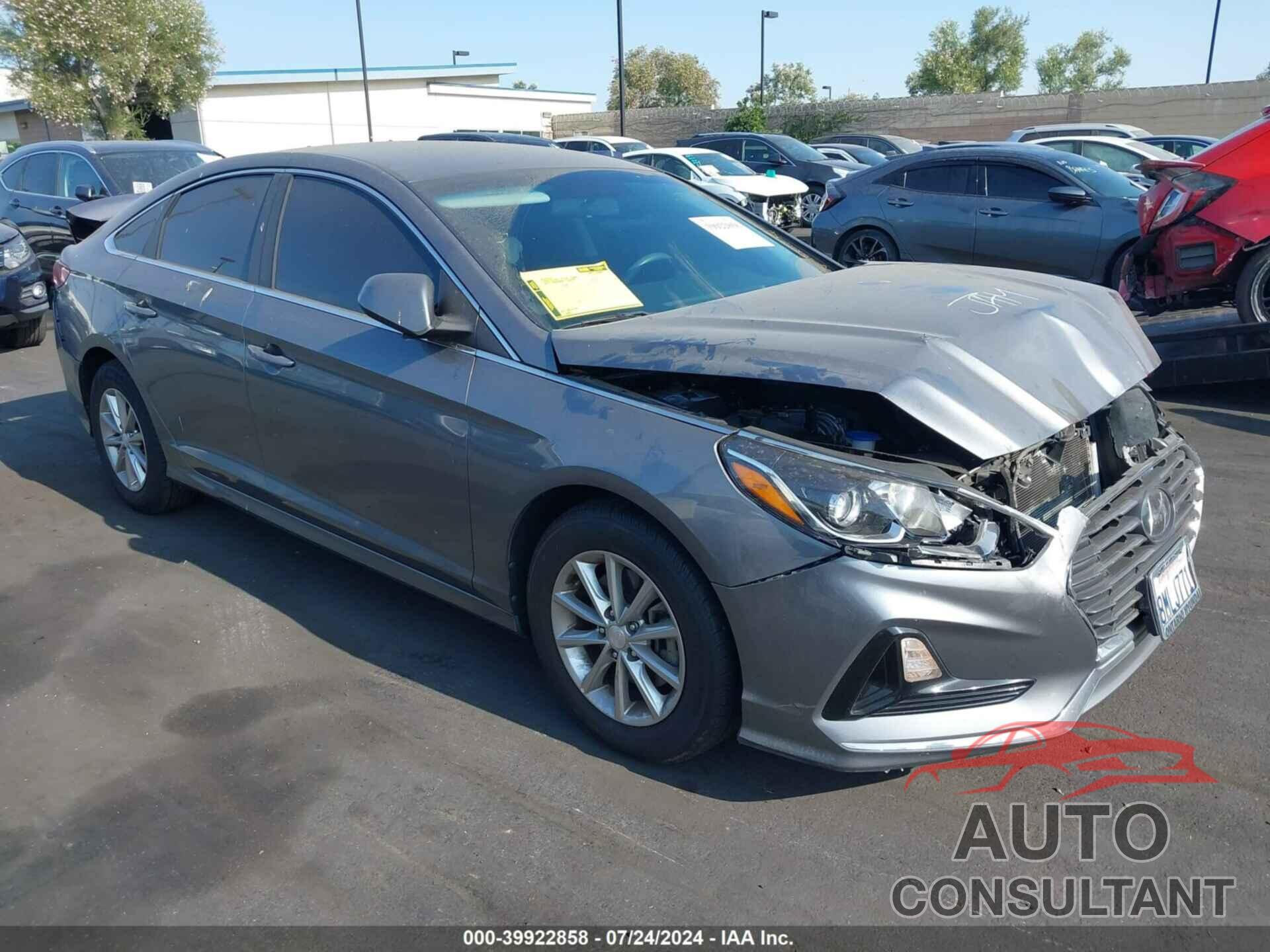 HYUNDAI SONATA 2019 - 5NPE24AF2KH817924