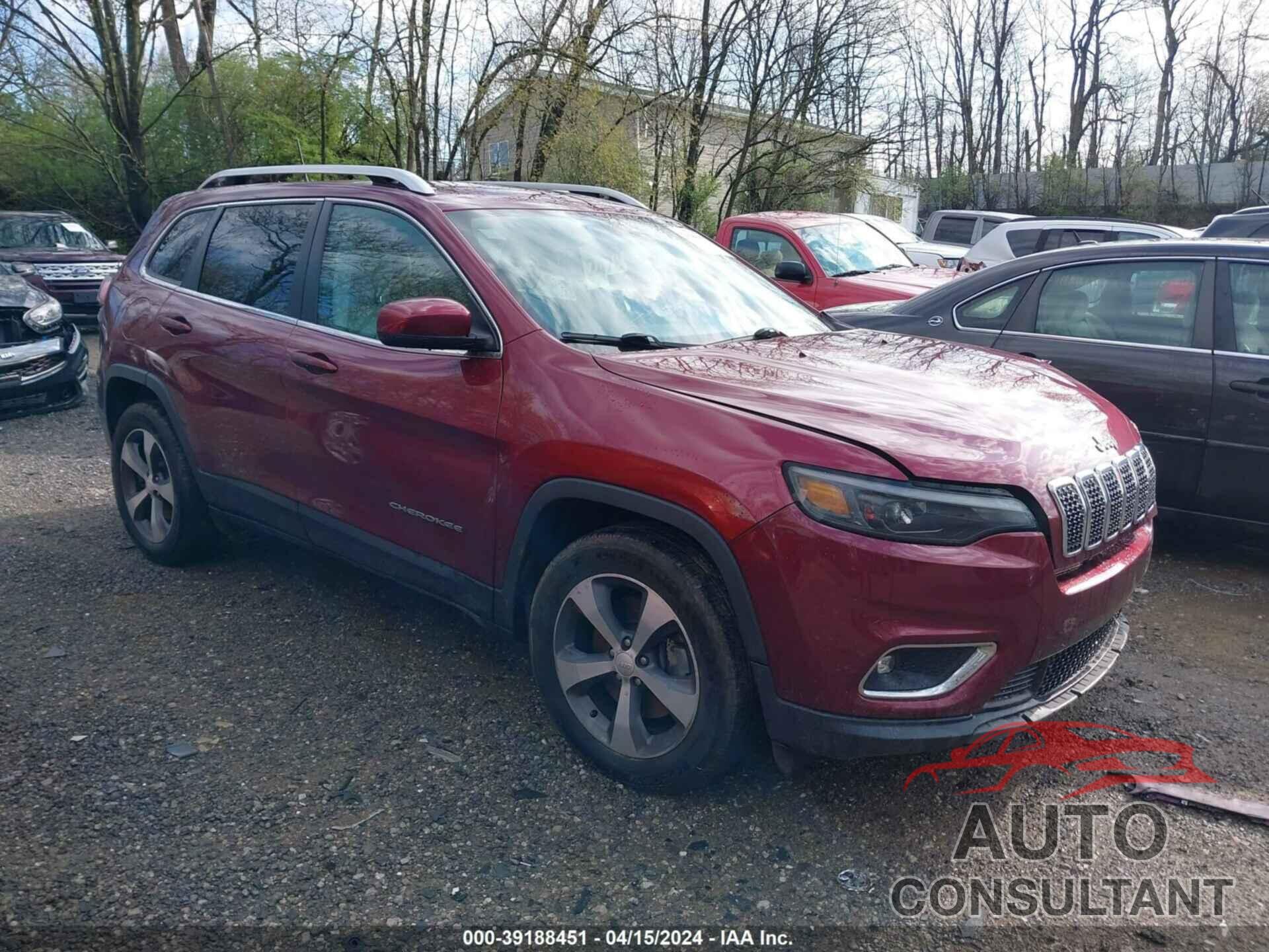 JEEP CHEROKEE 2019 - 1C4PJMDN4KD131968