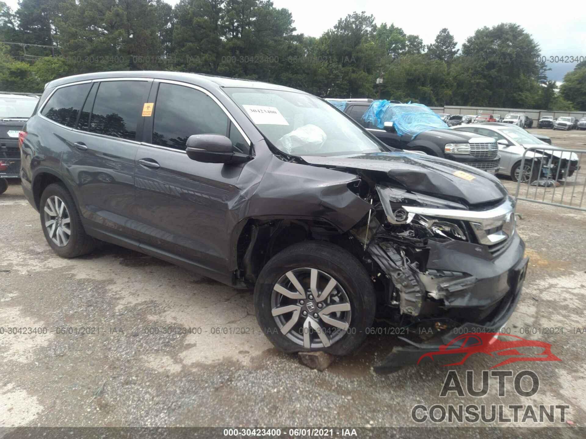 HONDA PILOT 2019 - 5FNYF5H53KB044609