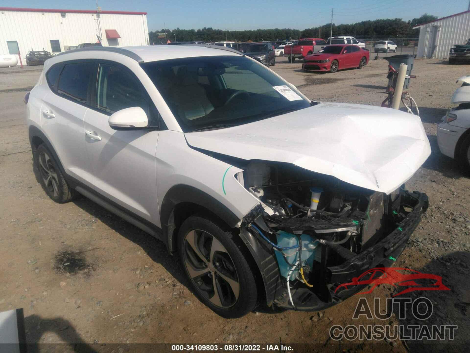 HYUNDAI TUCSON 2017 - KM8J33A24HU516164