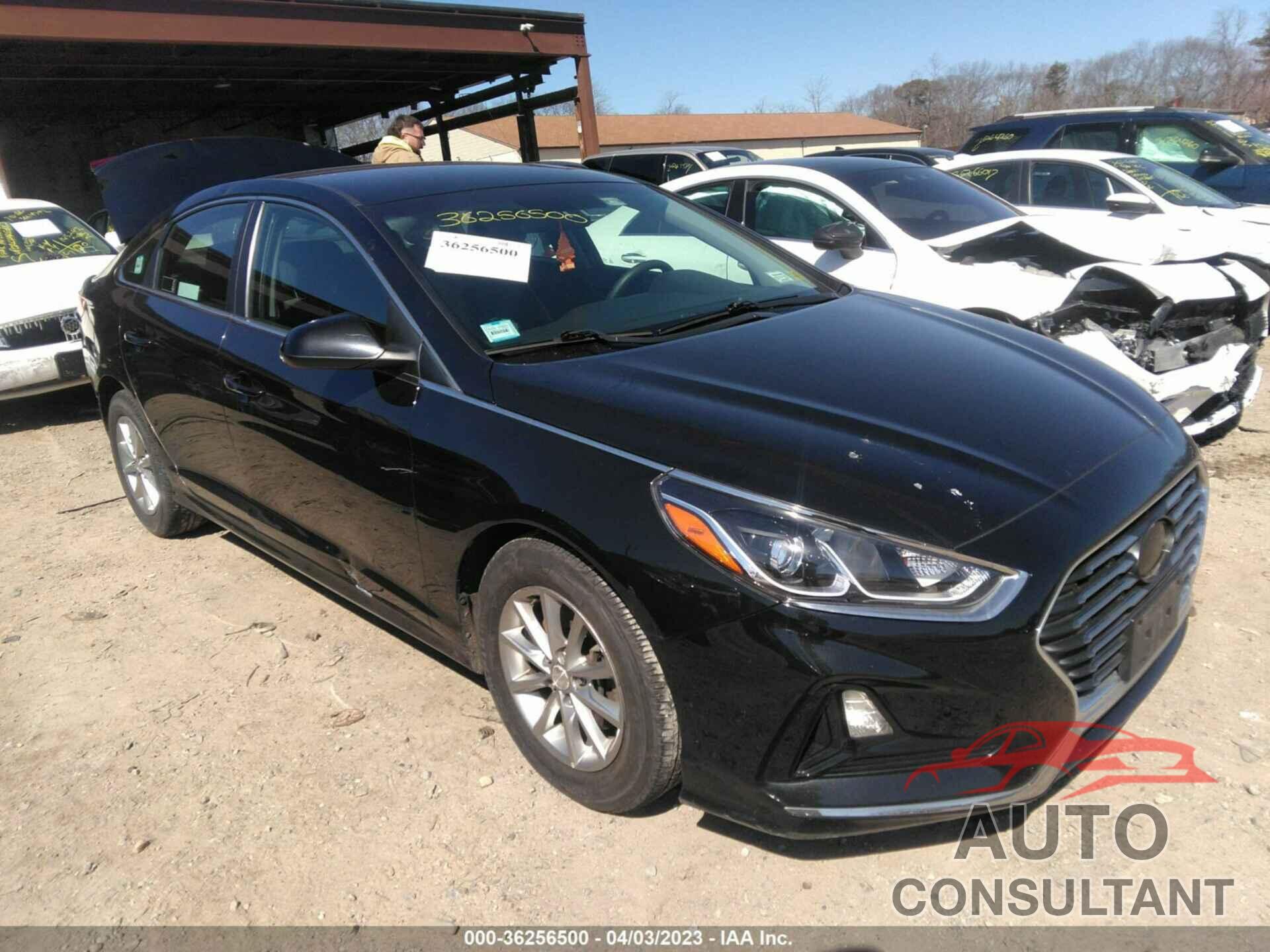 HYUNDAI SONATA 2018 - 5NPE24AF7JH634159