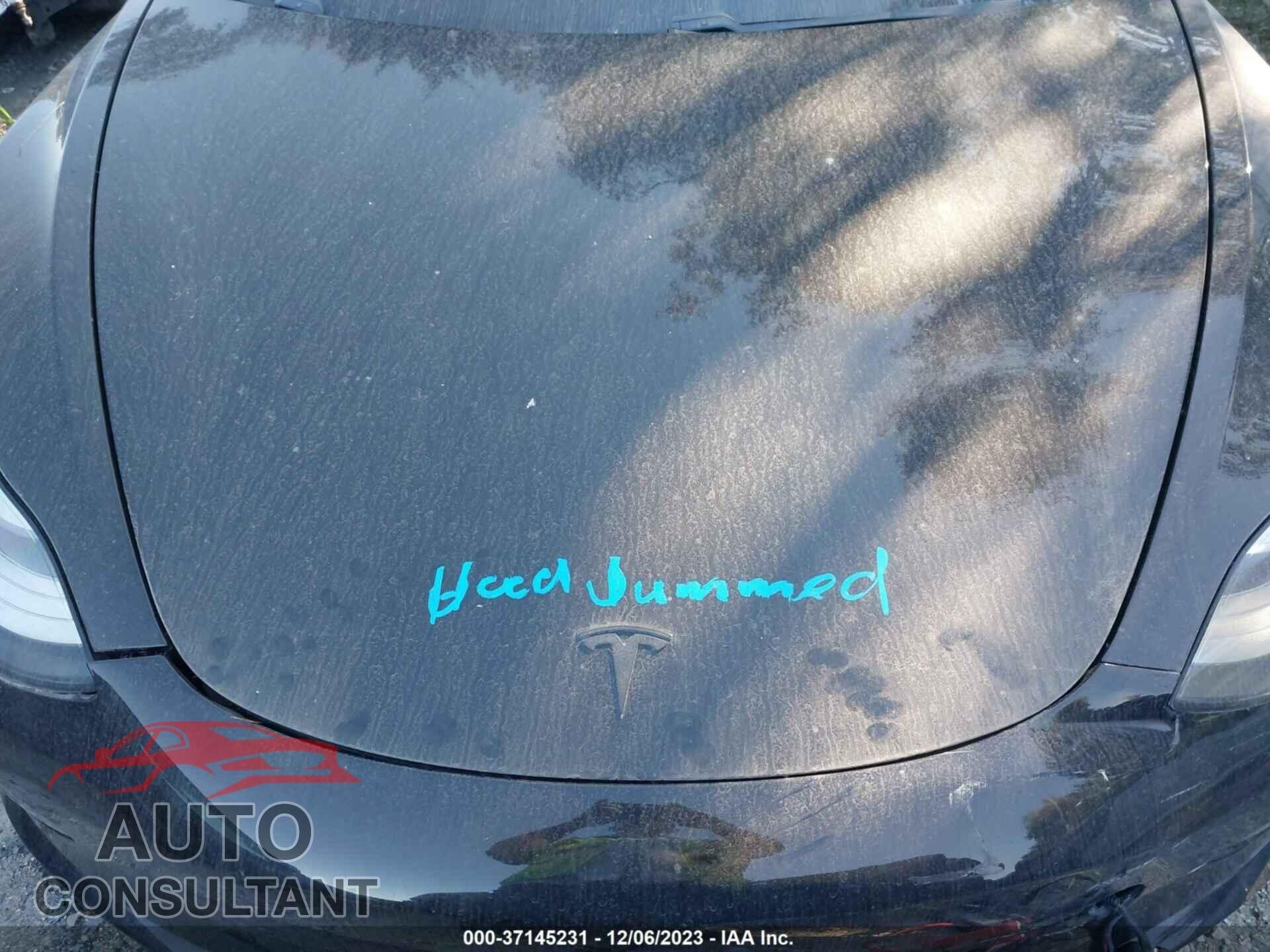 TESLA MODEL 3 2019 - 5YJ3E1EA3KF305356
