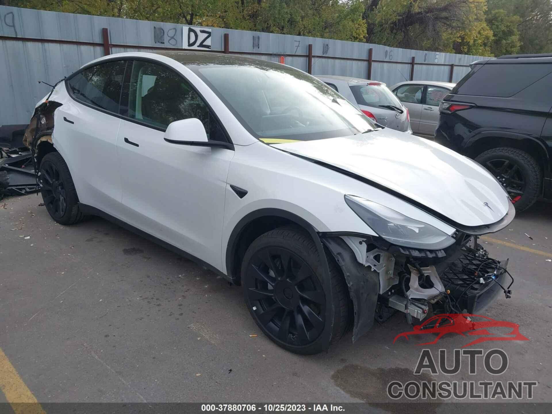 TESLA MODEL Y 2023 - 7SAYGDEE1PF688356