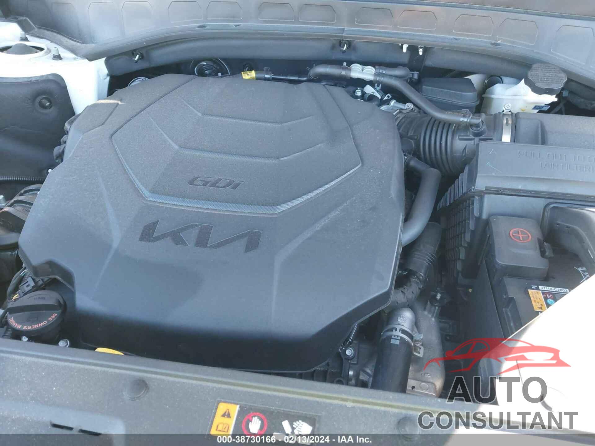 KIA TELLURIDE 2024 - 5XYP6DGC3RG412733