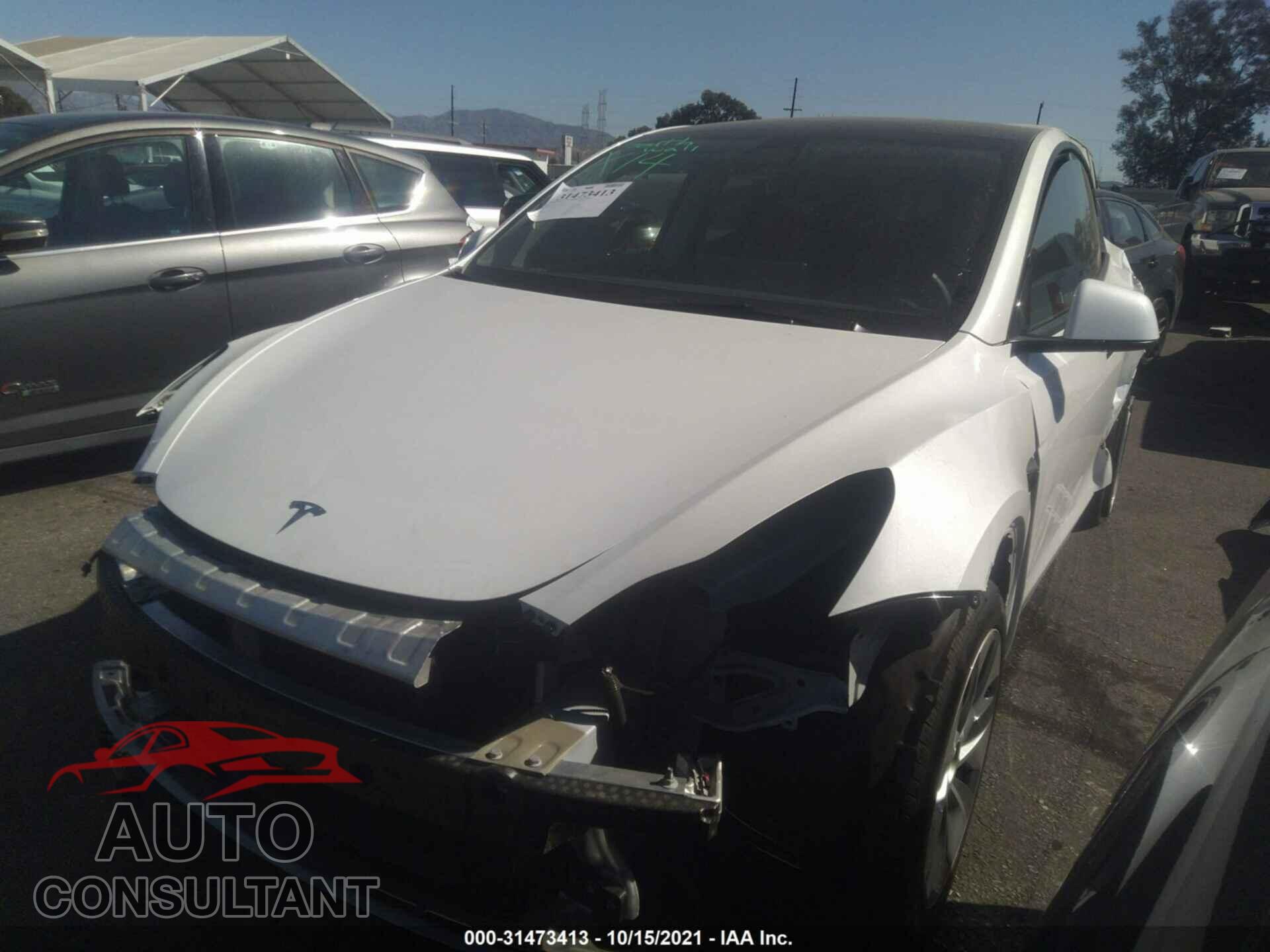 TESLA MODEL Y 2021 - 5YJYGAEE8MF179758