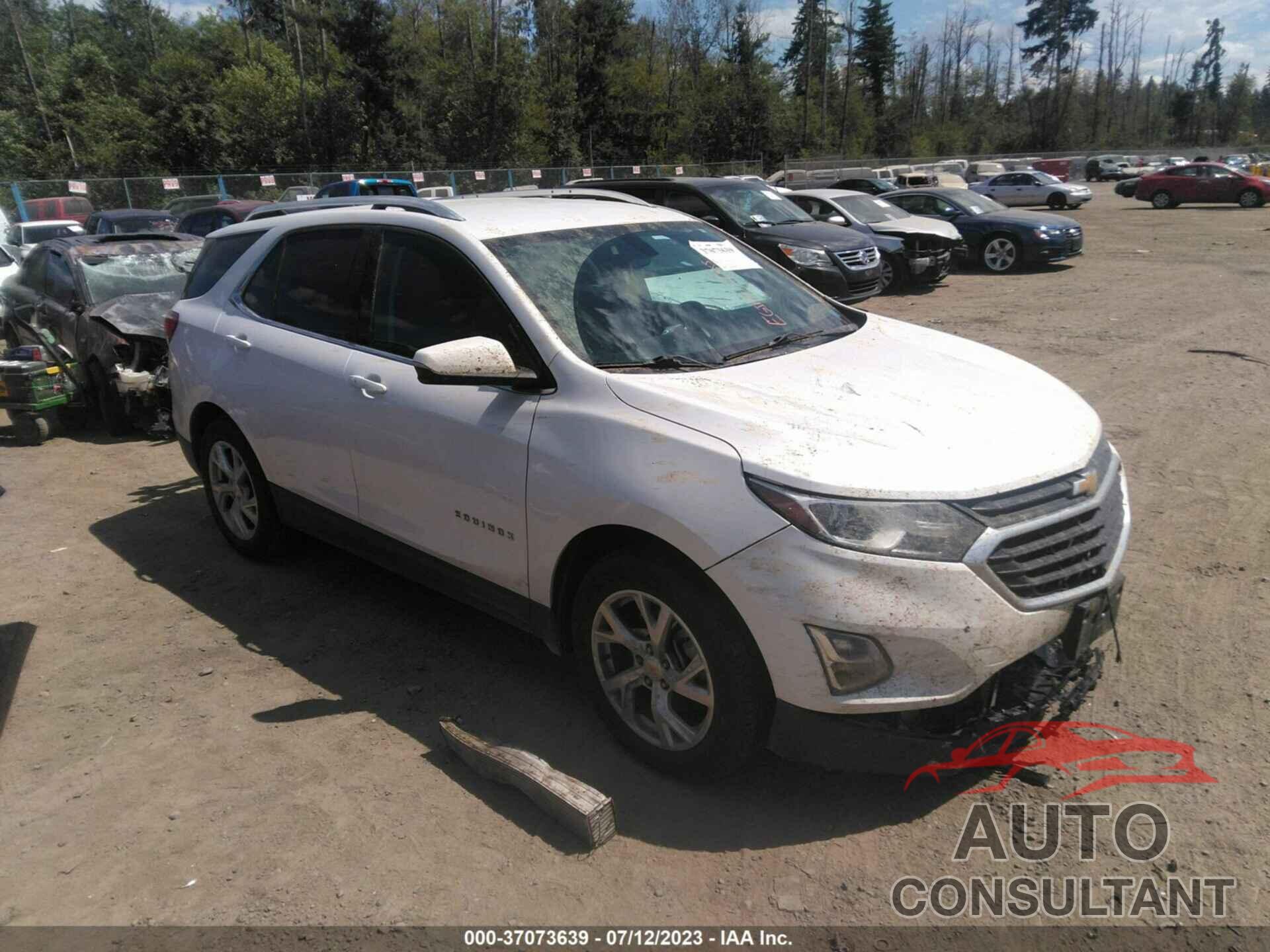 CHEVROLET EQUINOX 2019 - 2GNAXVEX8K6305766