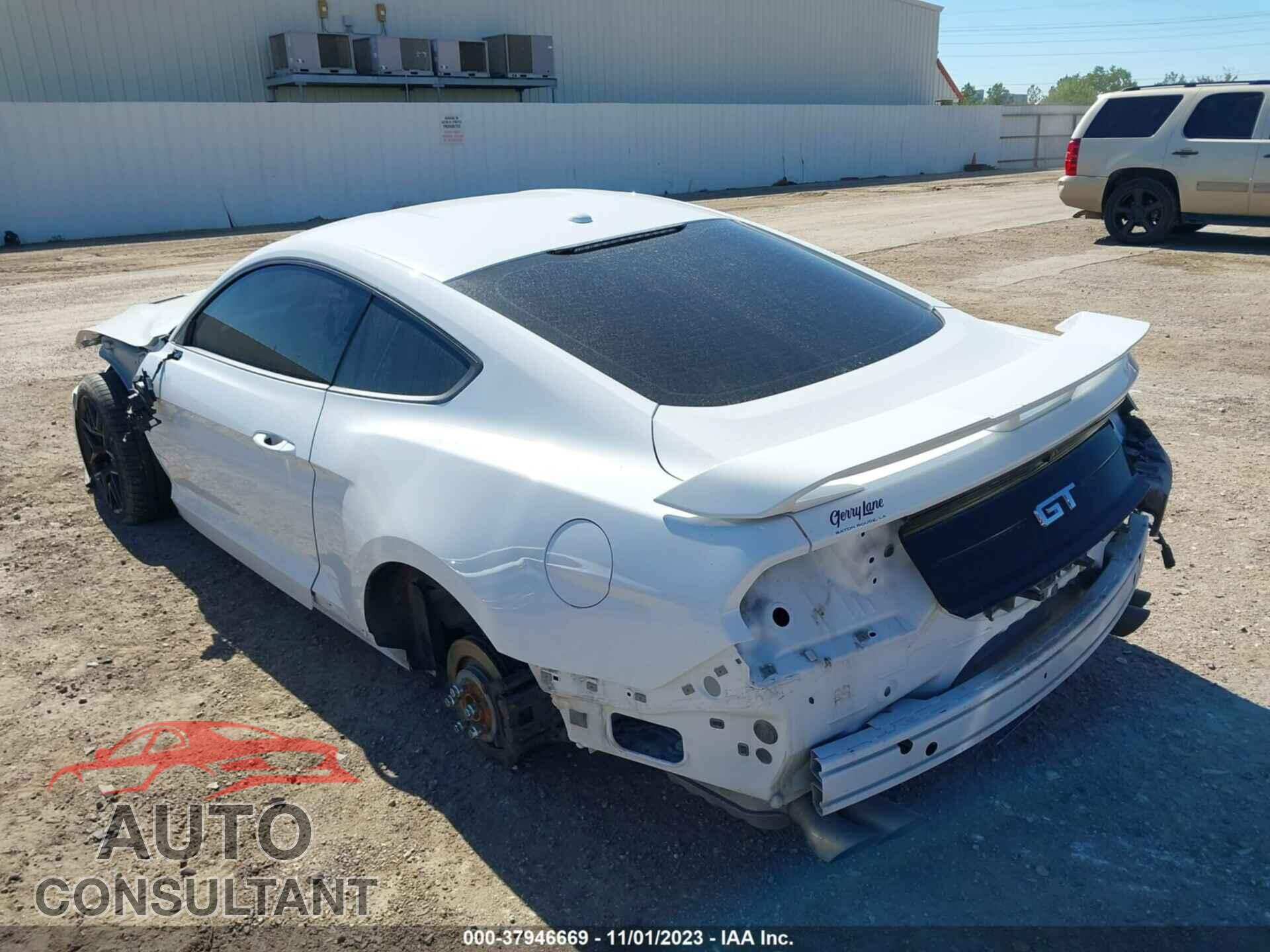 FORD MUSTANG 2019 - 1FA6P8CF7K5191495