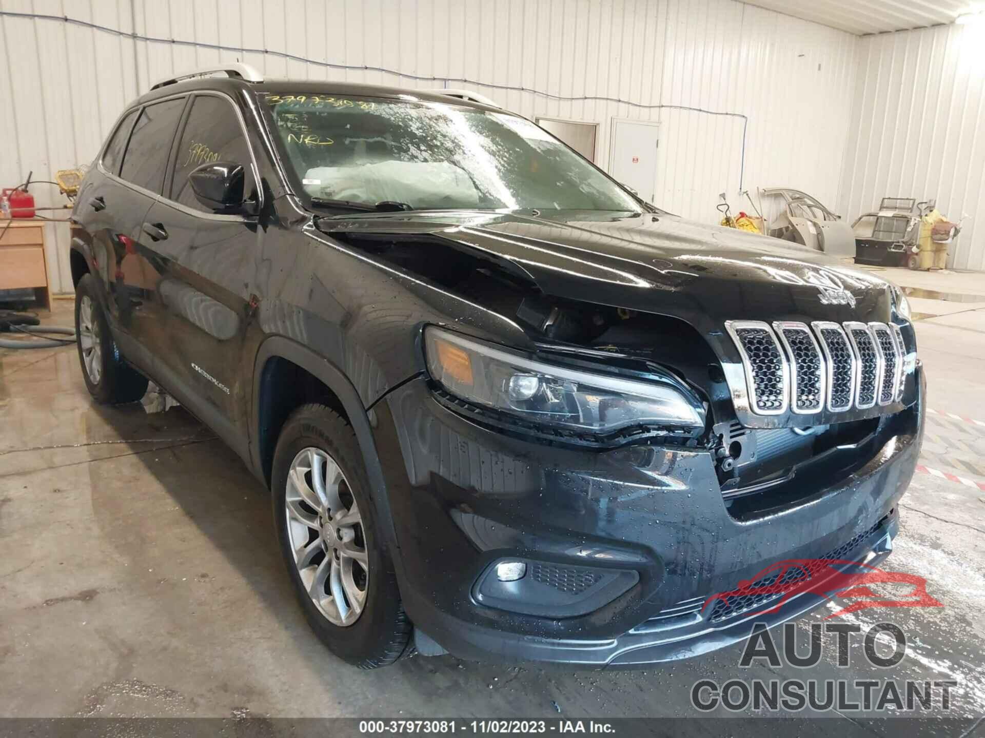 JEEP CHEROKEE 2019 - 1C4PJMLN0KD163401