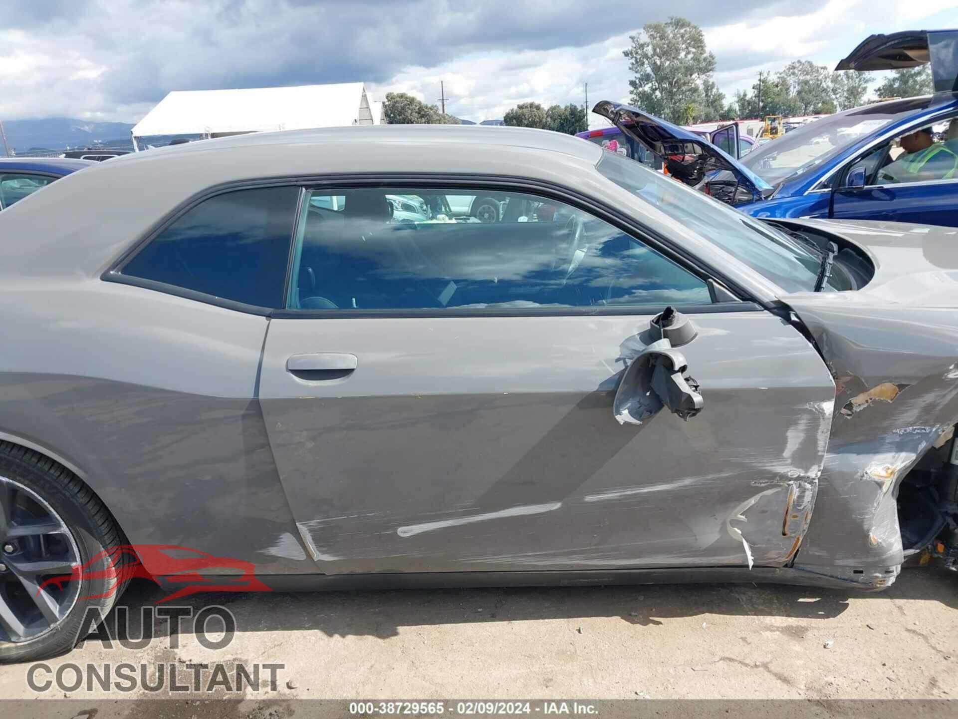 DODGE CHALLENGER 2019 - 2C3CDZAG3KH670131