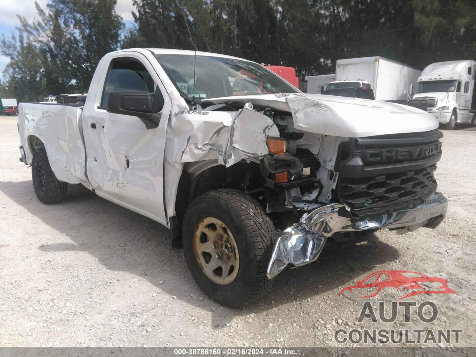 CHEVROLET SILVERADO 1500 2023 - 3GCNAAEDXPG219705