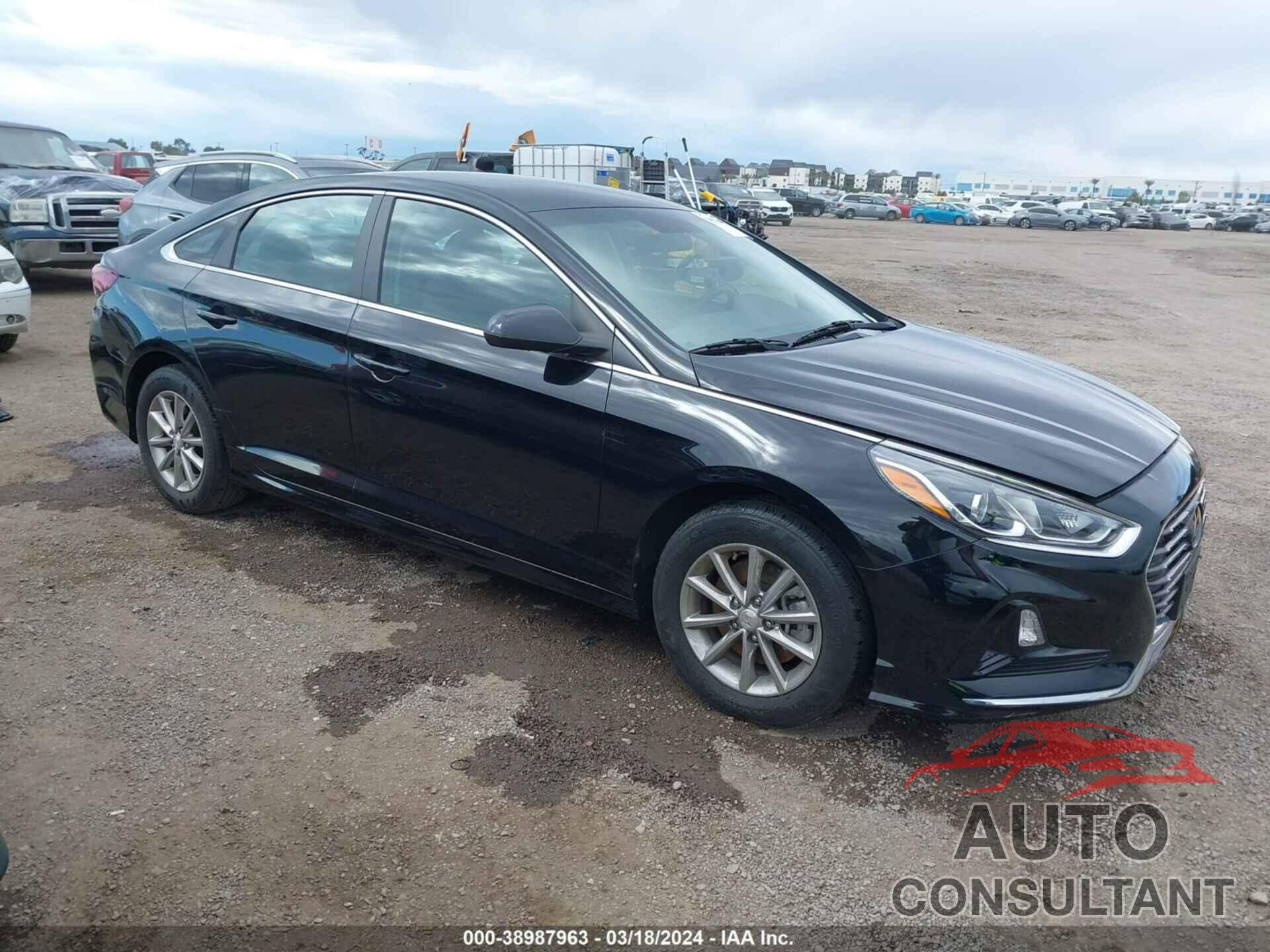 HYUNDAI SONATA 2019 - 5NPE24AF3KH757751