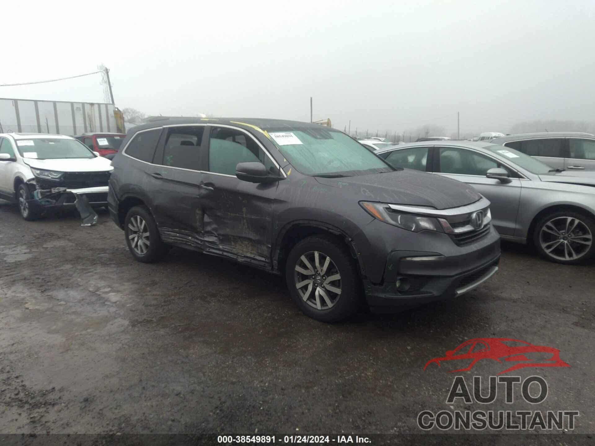 HONDA PILOT 2019 - 5FNYF6H56KB076590