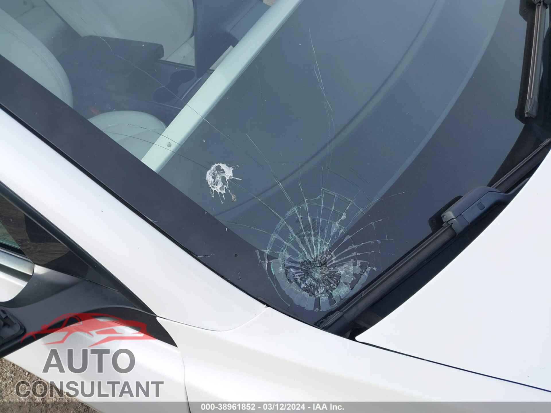 TESLA MODEL 3 2021 - 5YJ3E1ECXMF925576