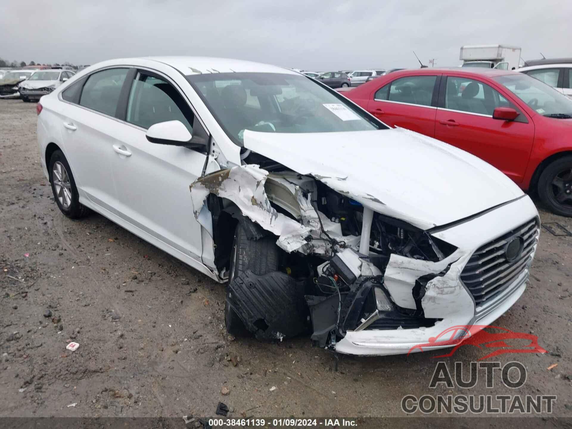 HYUNDAI SONATA 2019 - 5NPE24AF5KH741969