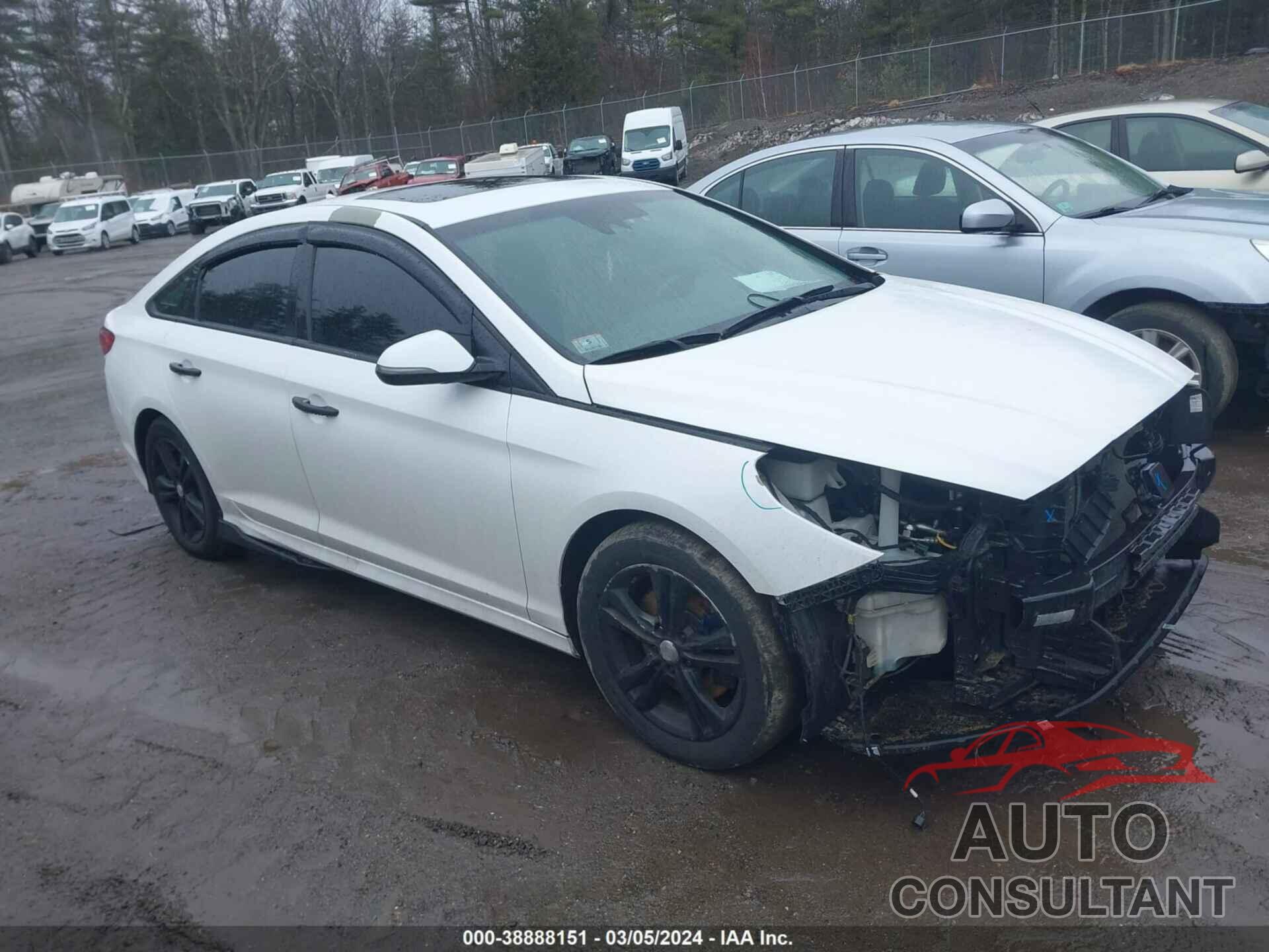 HYUNDAI SONATA 2018 - 5NPE34AF3JH665499