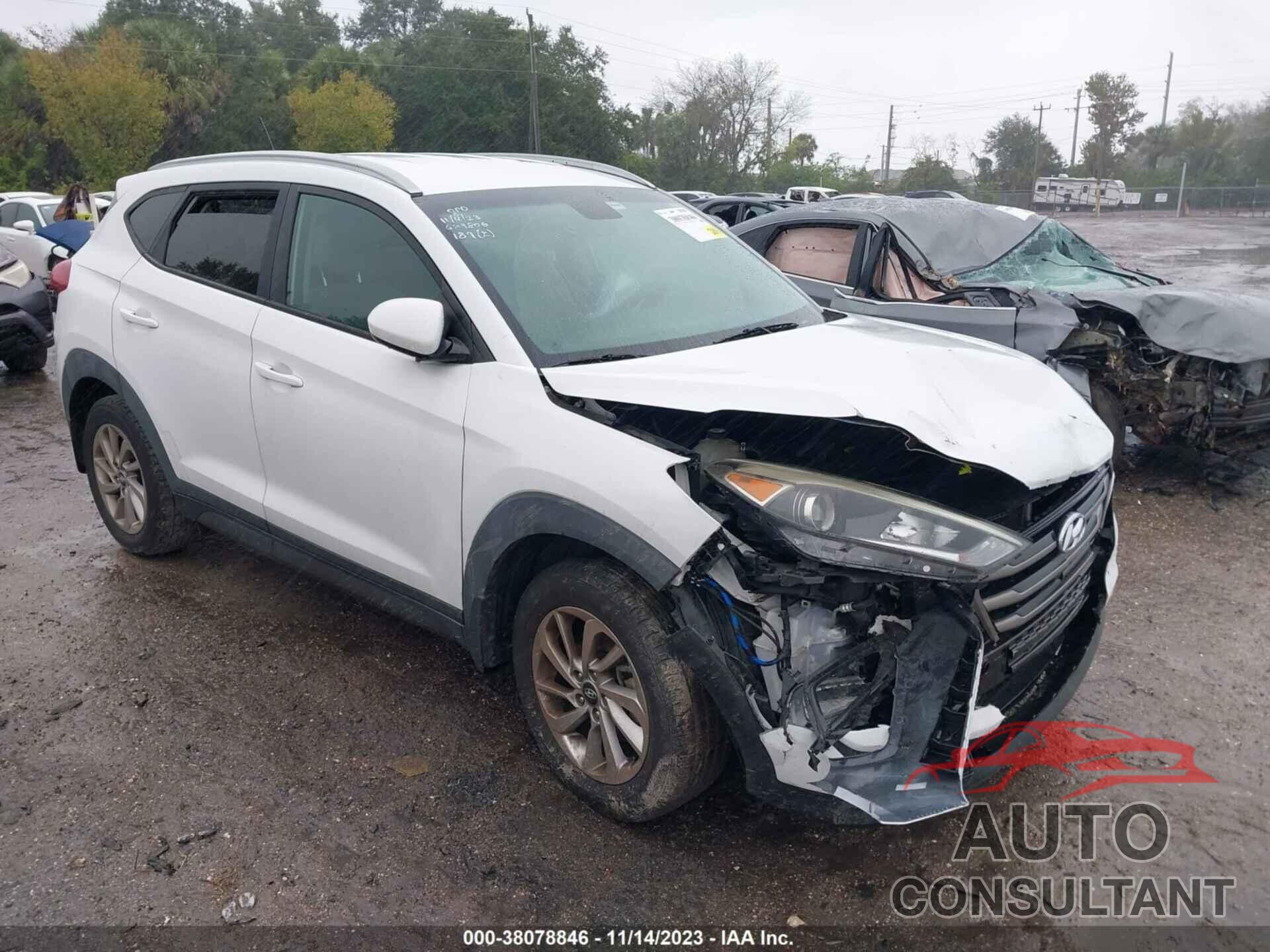 HYUNDAI TUCSON 2016 - KM8J33A45GU100446