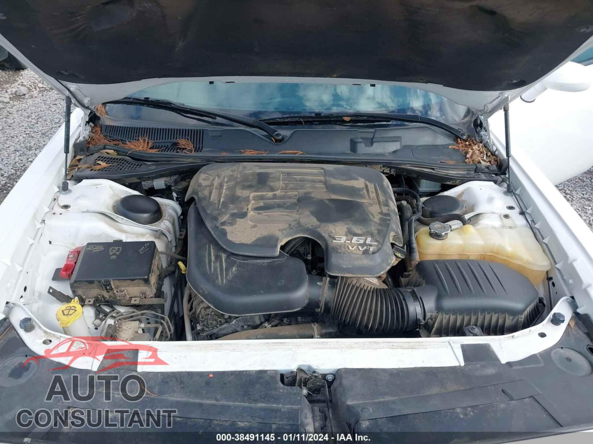 DODGE CHALLENGER 2019 - 2C3CDZAG3KH574631
