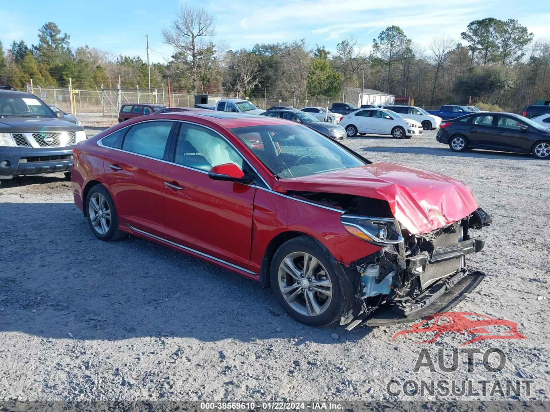 HYUNDAI SONATA 2019 - 5NPE34AF8KH799748