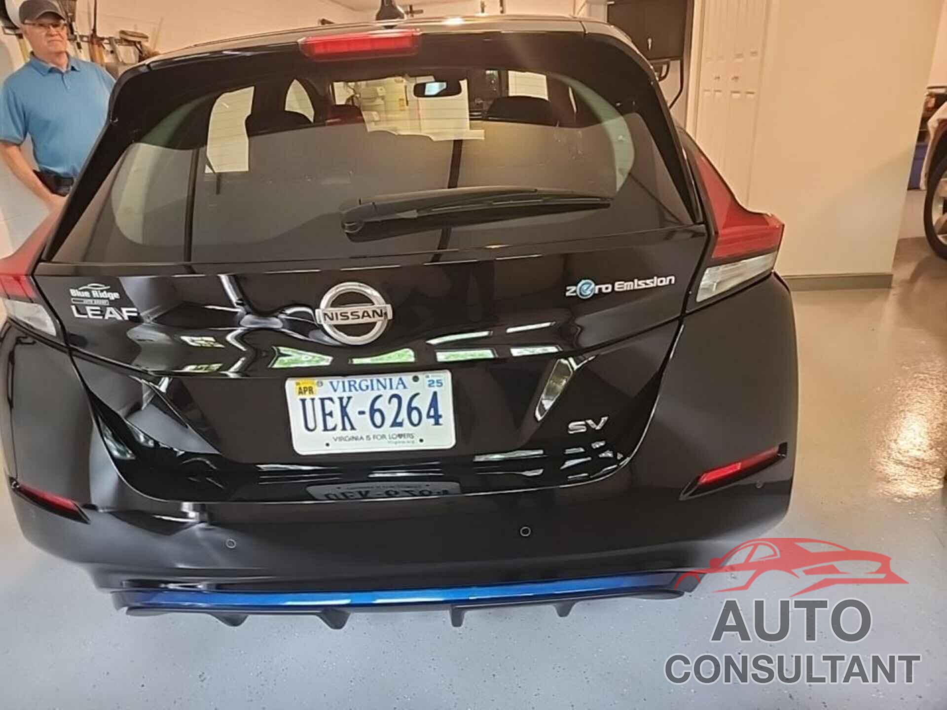 NISSAN LEAF 2020 - 1N4AZ1CP2LC307672