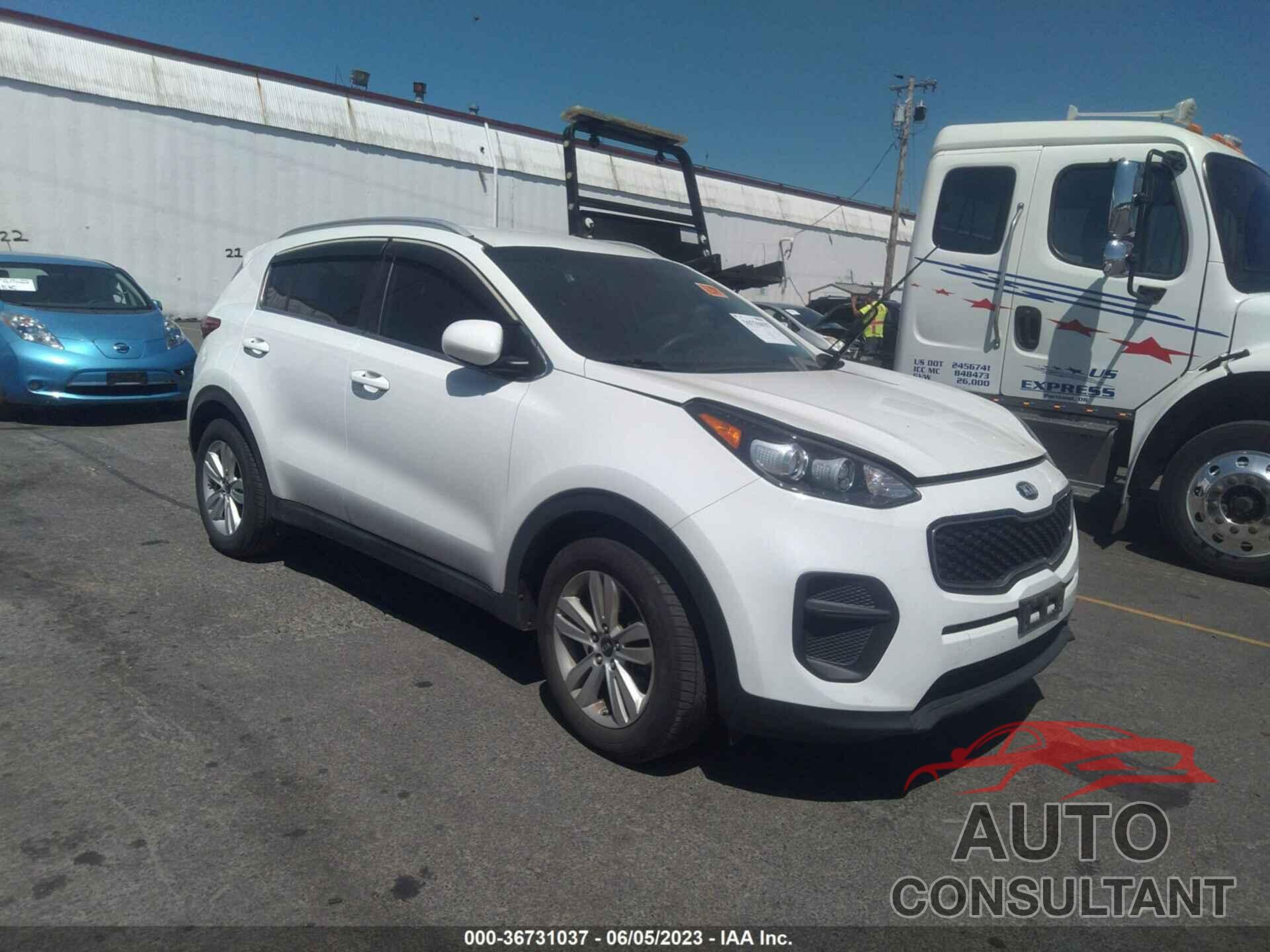 KIA SPORTAGE 2017 - KNDPM3AC1H7069926