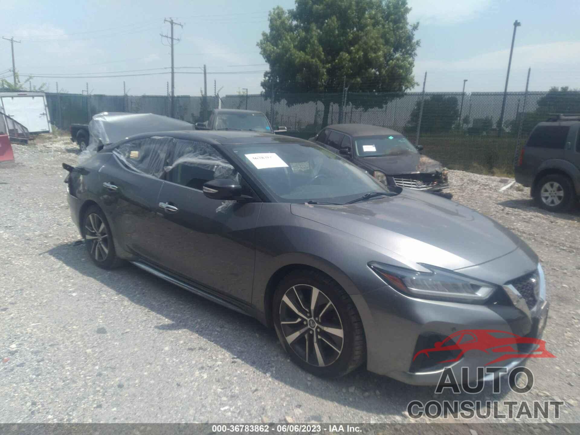 NISSAN MAXIMA 2019 - 1N4AA6AV3KC375869