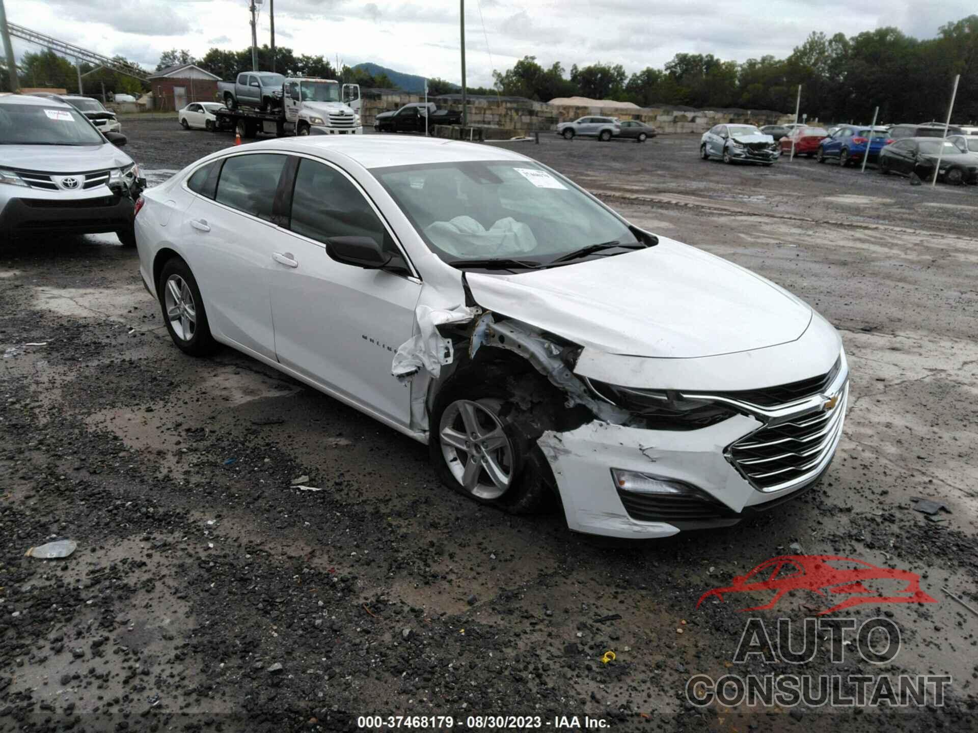 CHEVROLET MALIBU 2023 - 1G1ZC5STXPF118379