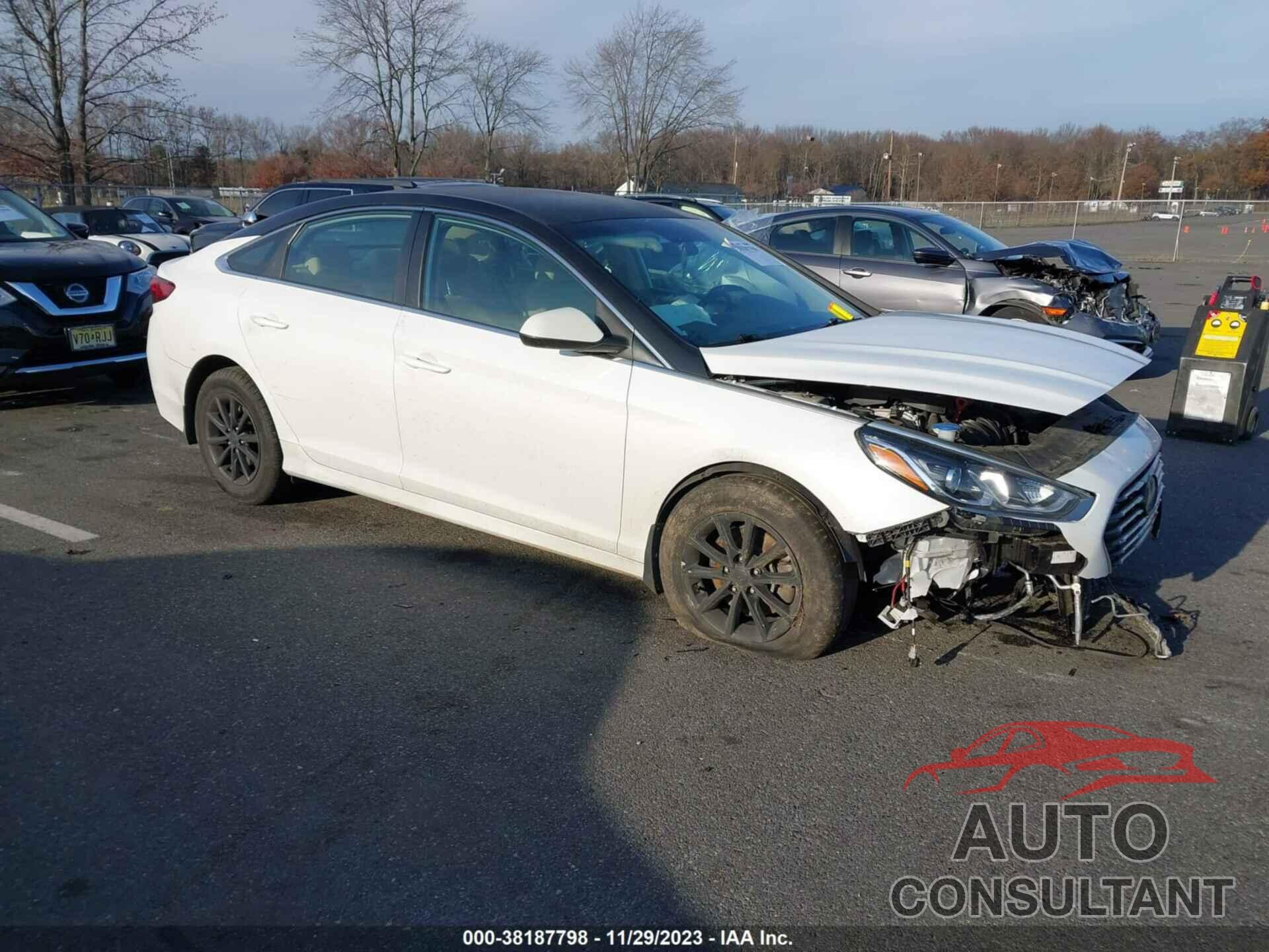 HYUNDAI SONATA 2019 - 5NPE24AF9KH801669