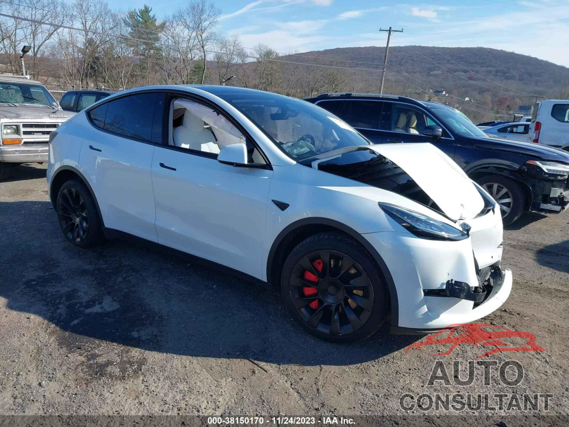 TESLA MODEL Y 2022 - 7SAYGDEE7NF339537