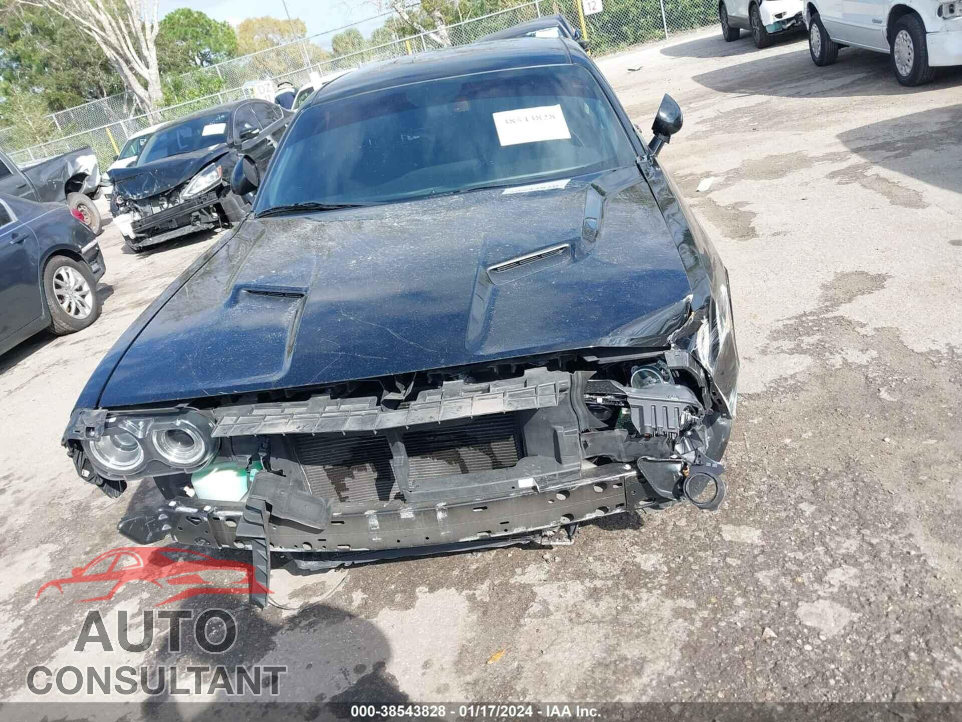 DODGE CHALLENGER 2019 - 2C3CDZAG3KH560891